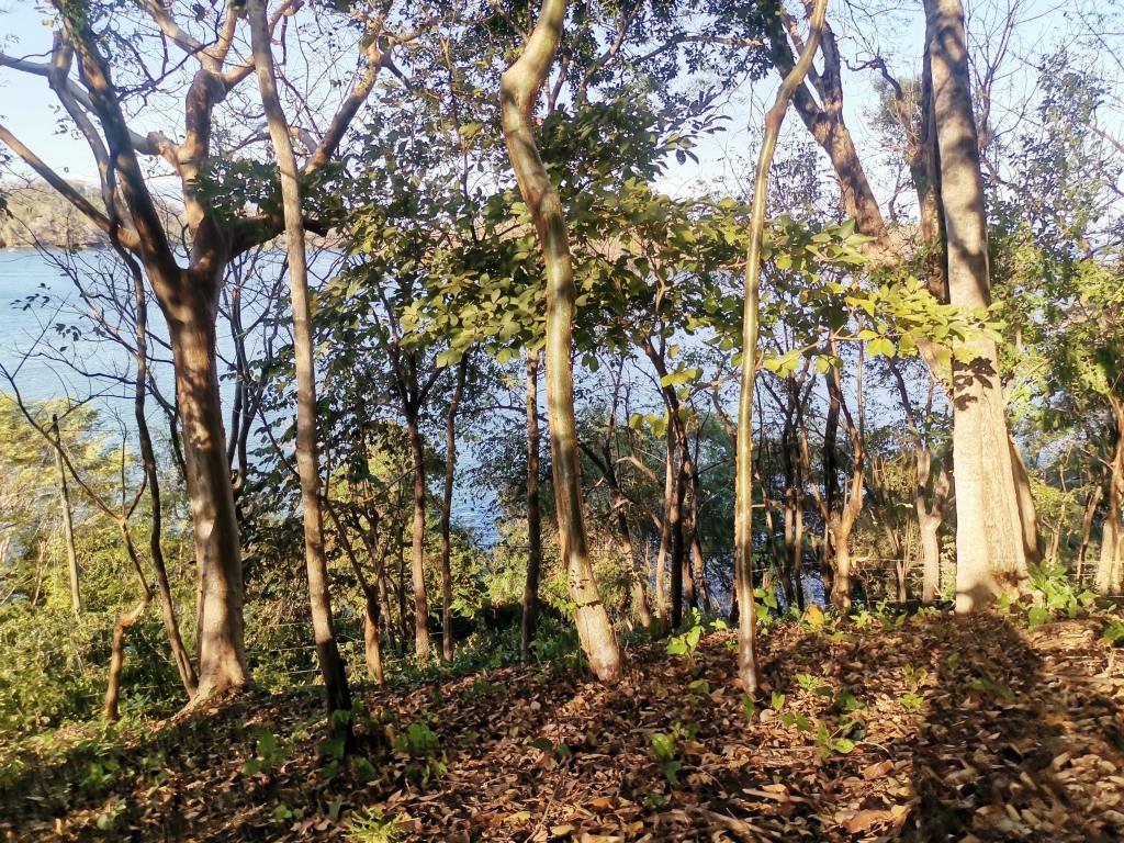 0 bed Land For Sale in Paquera, Puntarenas - thumb 2