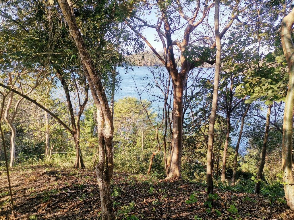 0 bed Land For Sale in Paquera, Puntarenas - thumb 1