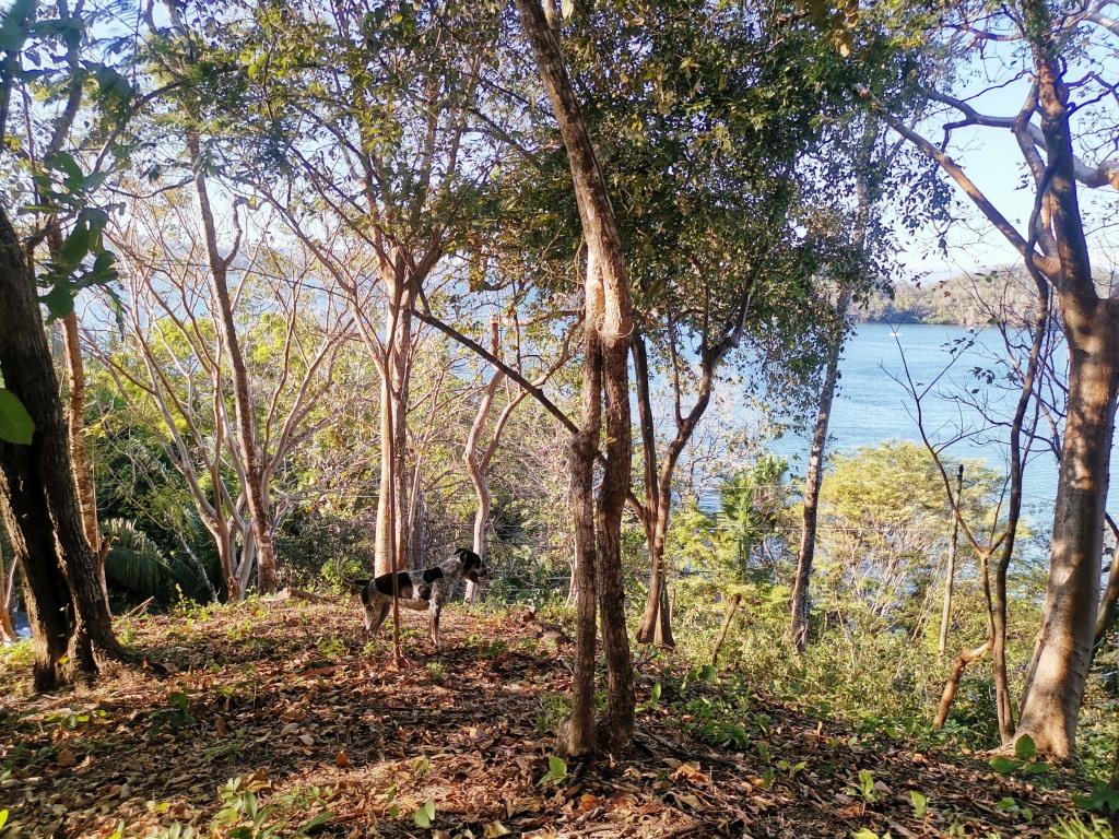 0 bed Land For Sale in Paquera, Puntarenas - thumb 3