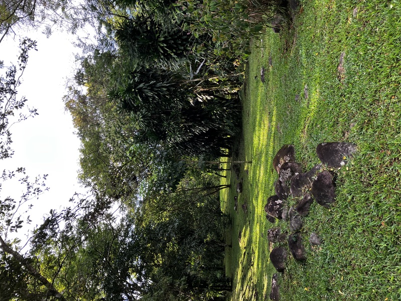 2 bed Single Family Homes For Sale in Perez Zeledon, San Jose - hero 20