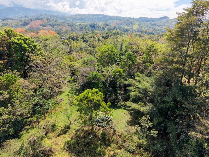 2 bed Single Family Homes For Sale in Perez Zeledon, San Jose - hero 28