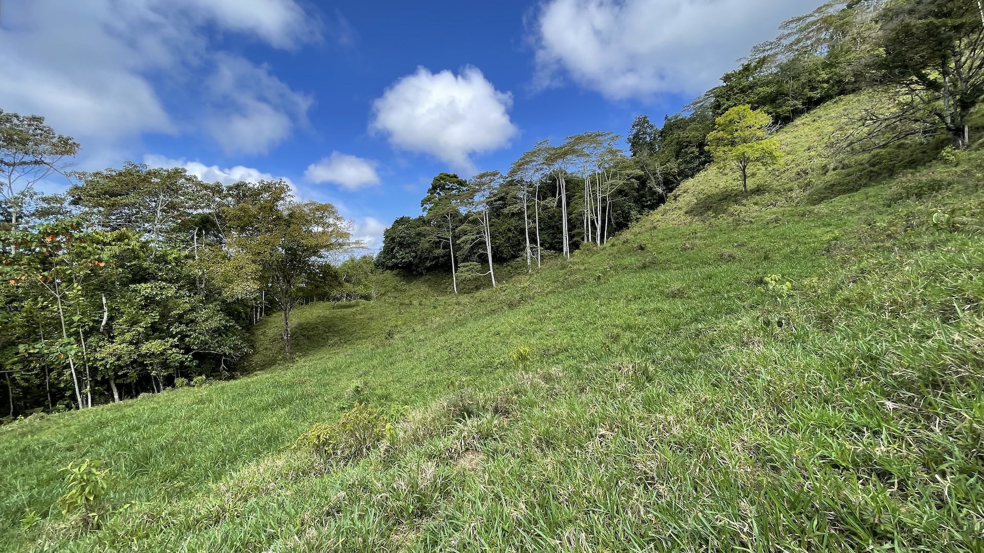 0 bed Land For Sale in Uvita, Puntarenas - thumb 8