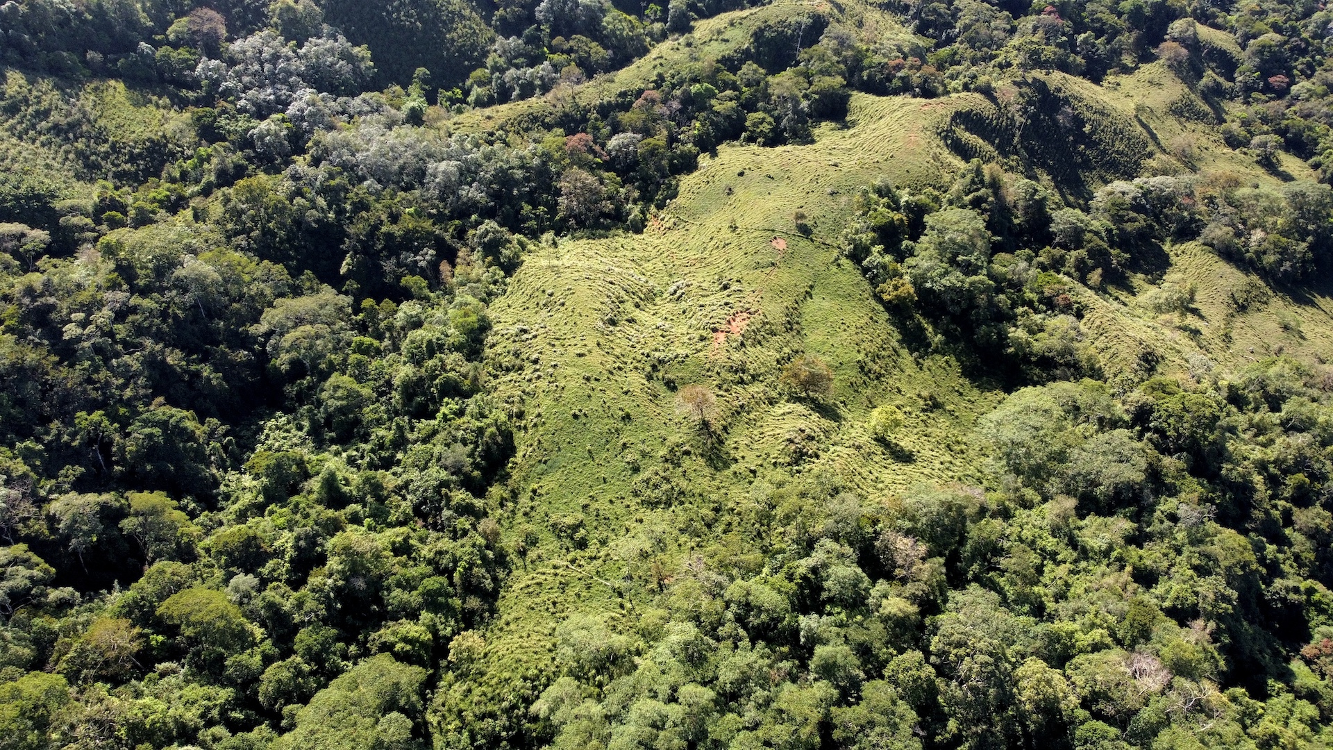 0 bed Land For Sale in Uvita, Puntarenas - thumb 15