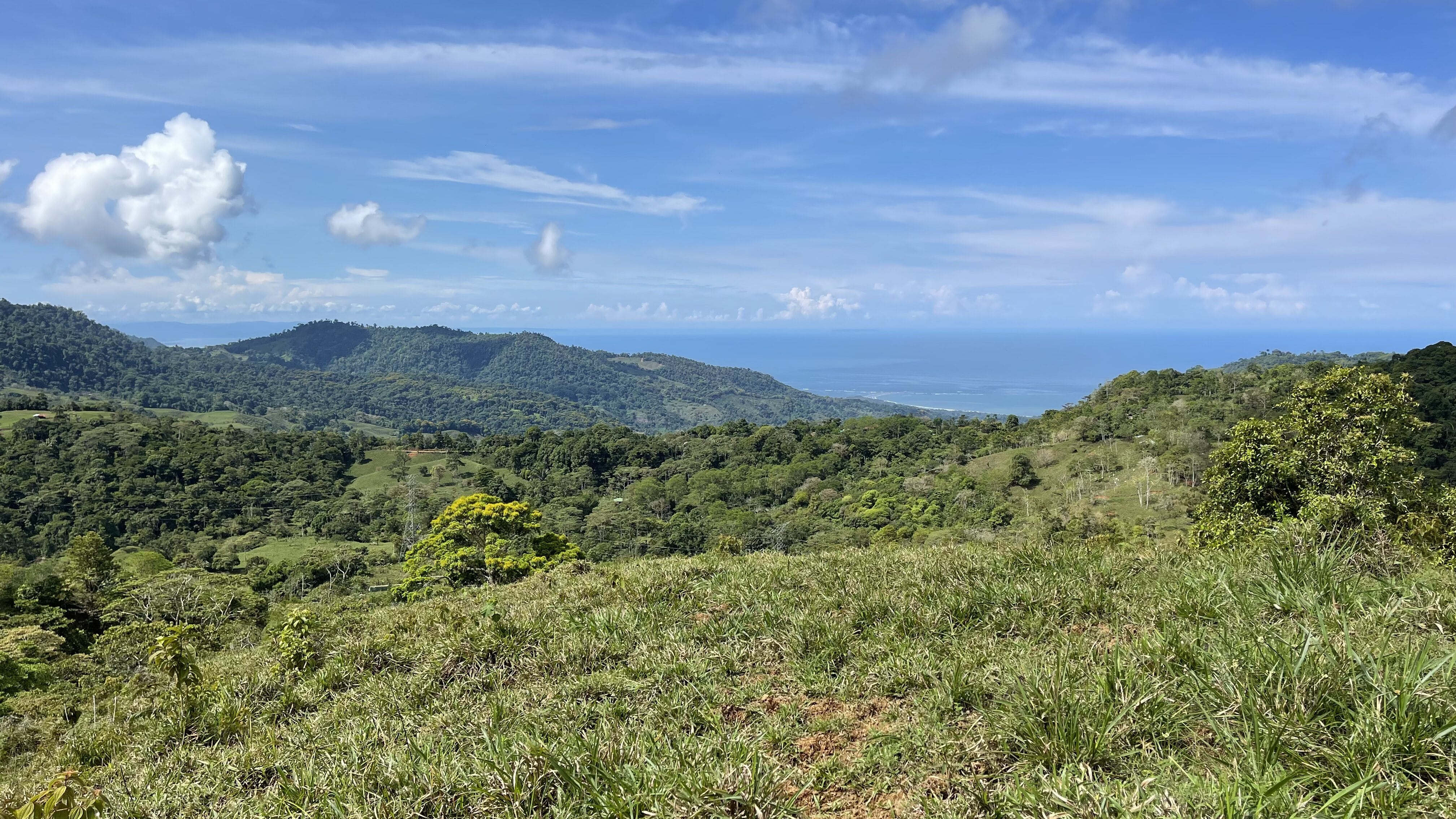 0 bed Land For Sale in Uvita, Puntarenas - thumb 1