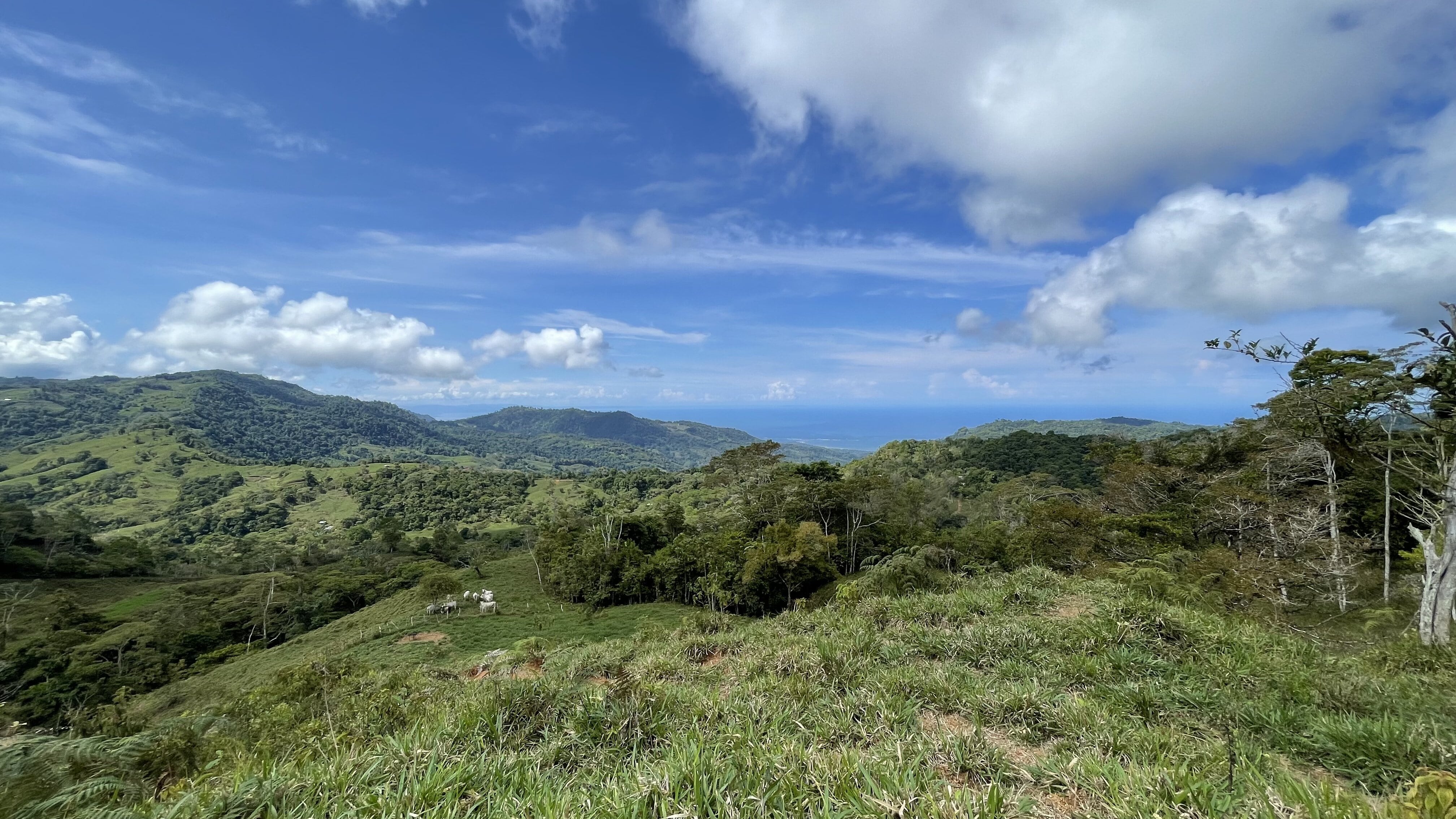 0 bed Land For Sale in Uvita, Puntarenas - thumb 7