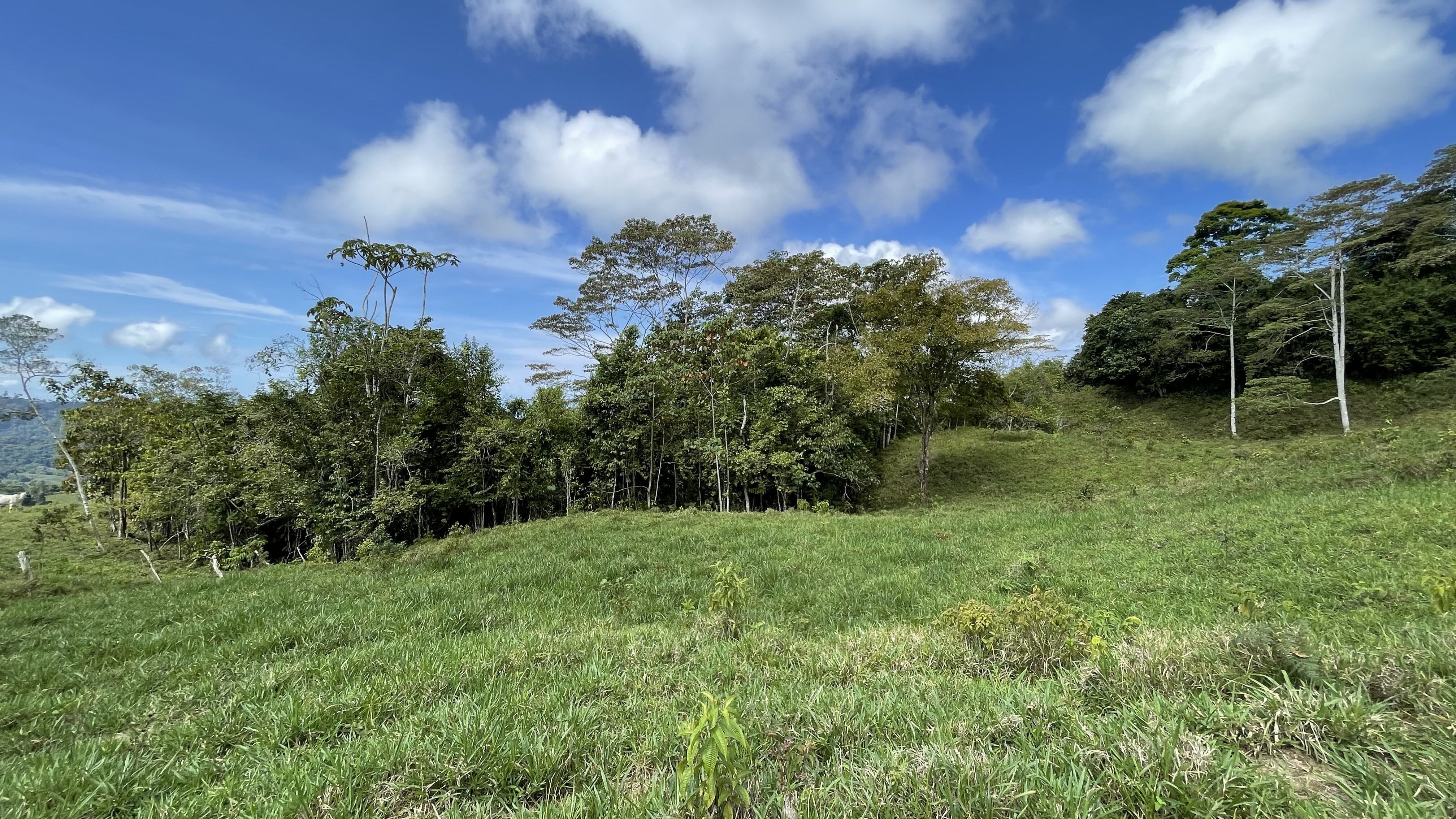 0 bed Land For Sale in Uvita, Puntarenas - thumb 20