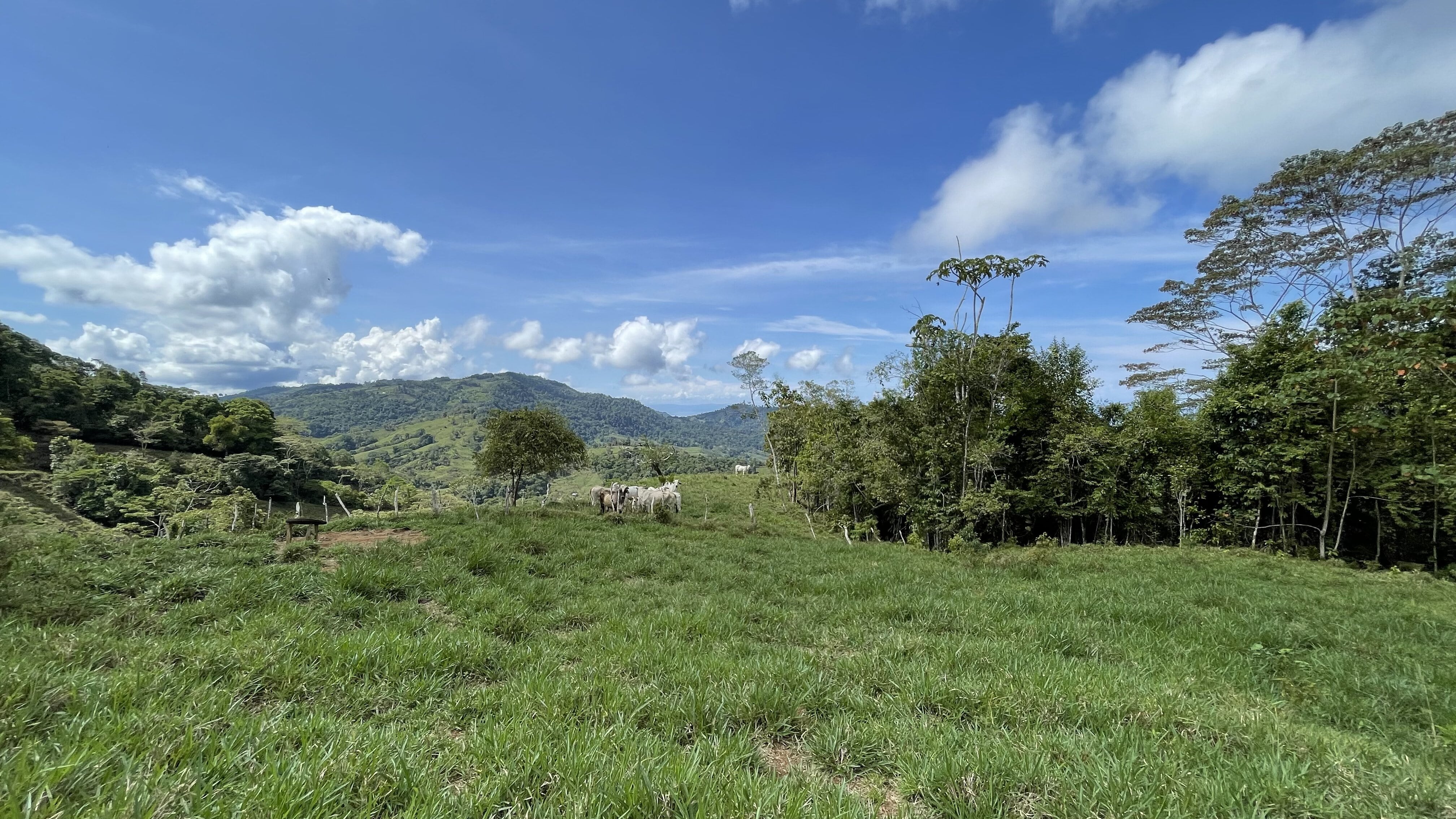 0 bed Land For Sale in Uvita, Puntarenas - thumb 13
