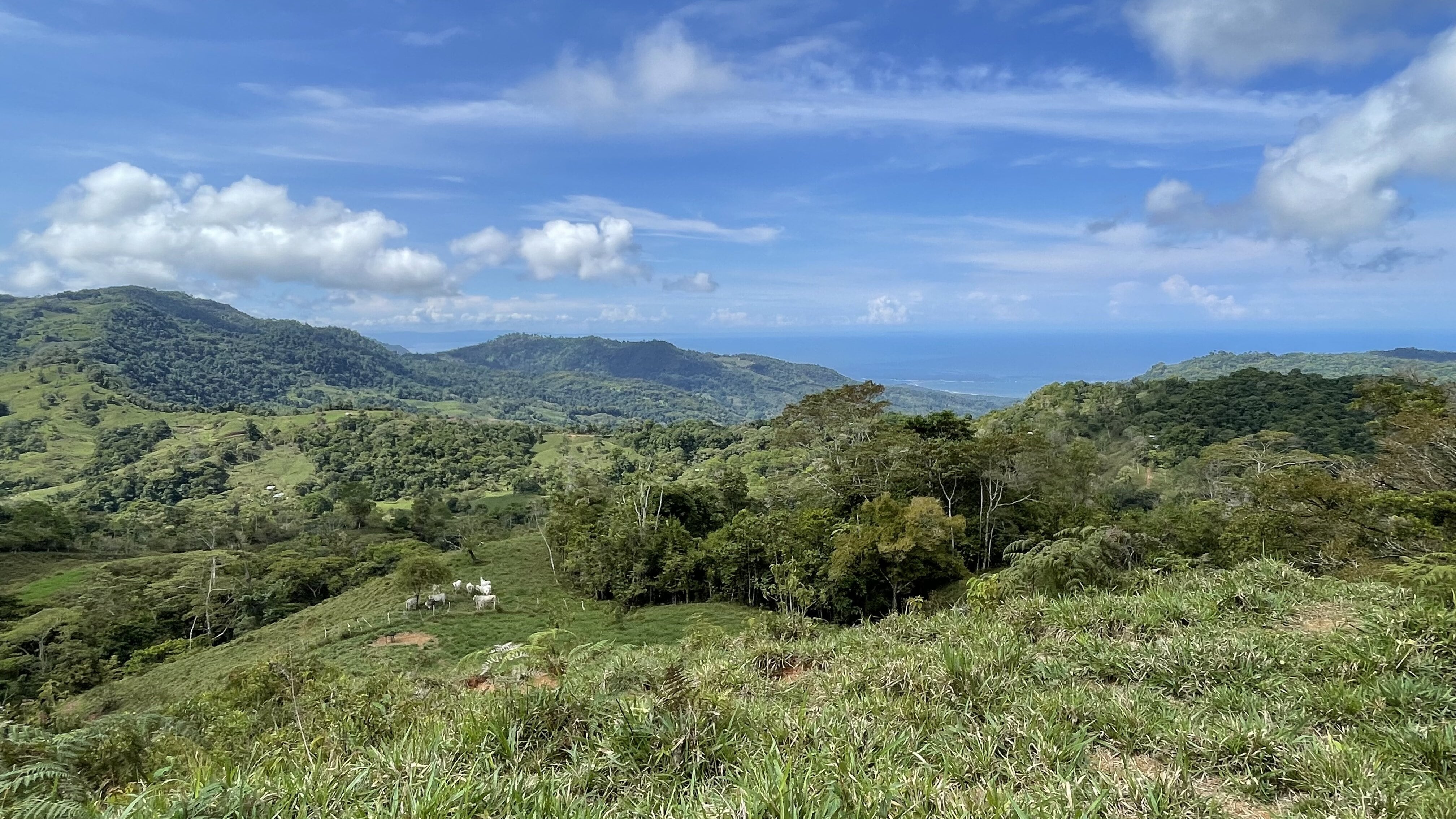 0 bed Land For Sale in Uvita, Puntarenas - thumb 18