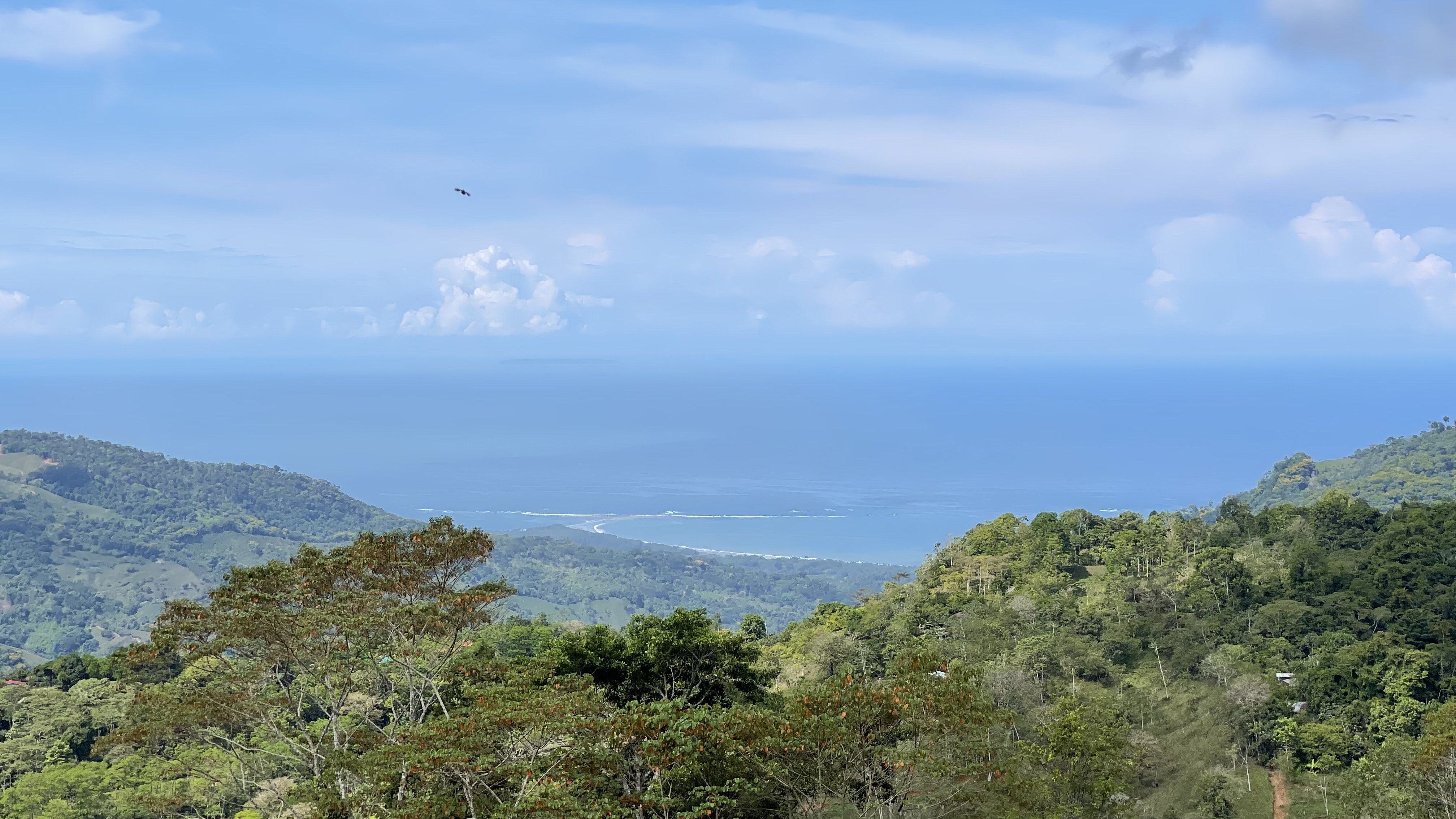 0 bed Land For Sale in Uvita, Puntarenas - thumb 5