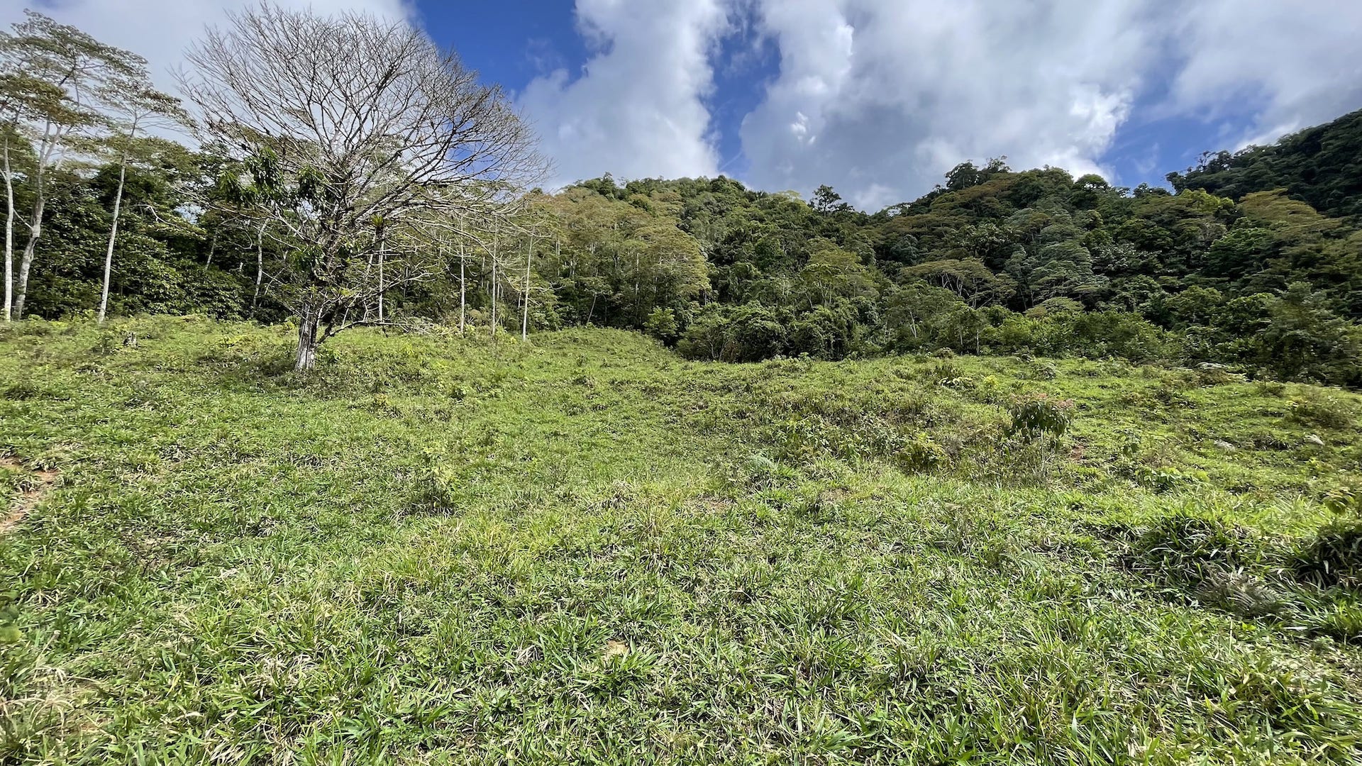 0 bed Land For Sale in Uvita, Puntarenas - thumb 22
