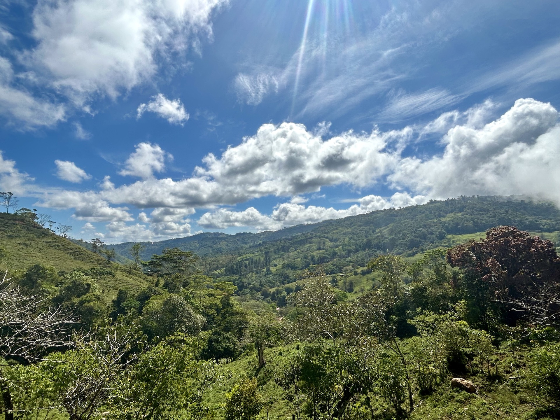 5 bed Land For Sale in Uvita, Puntarenas - thumb 19