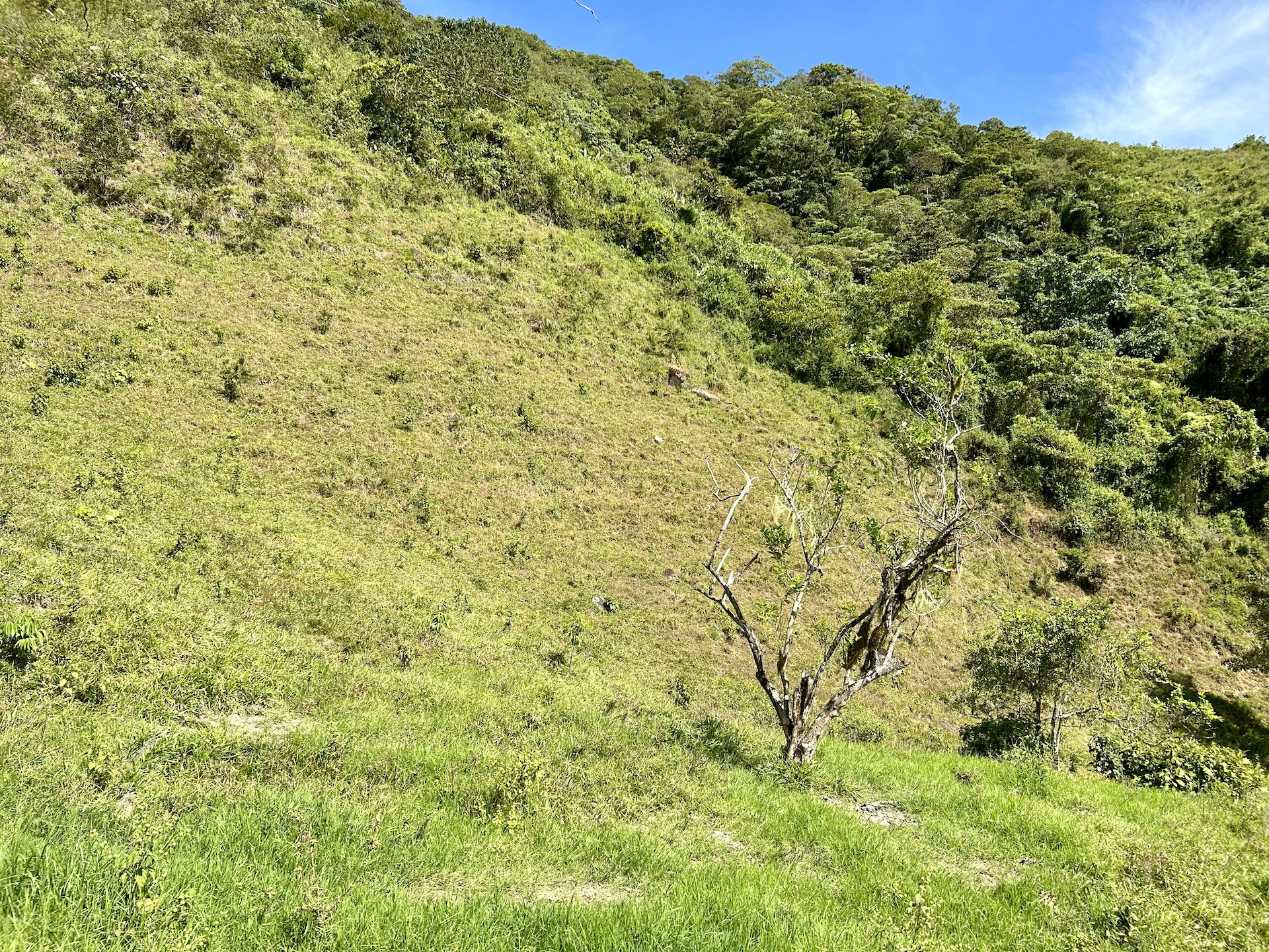 5 bed Land For Sale in Uvita, Puntarenas - thumb 21