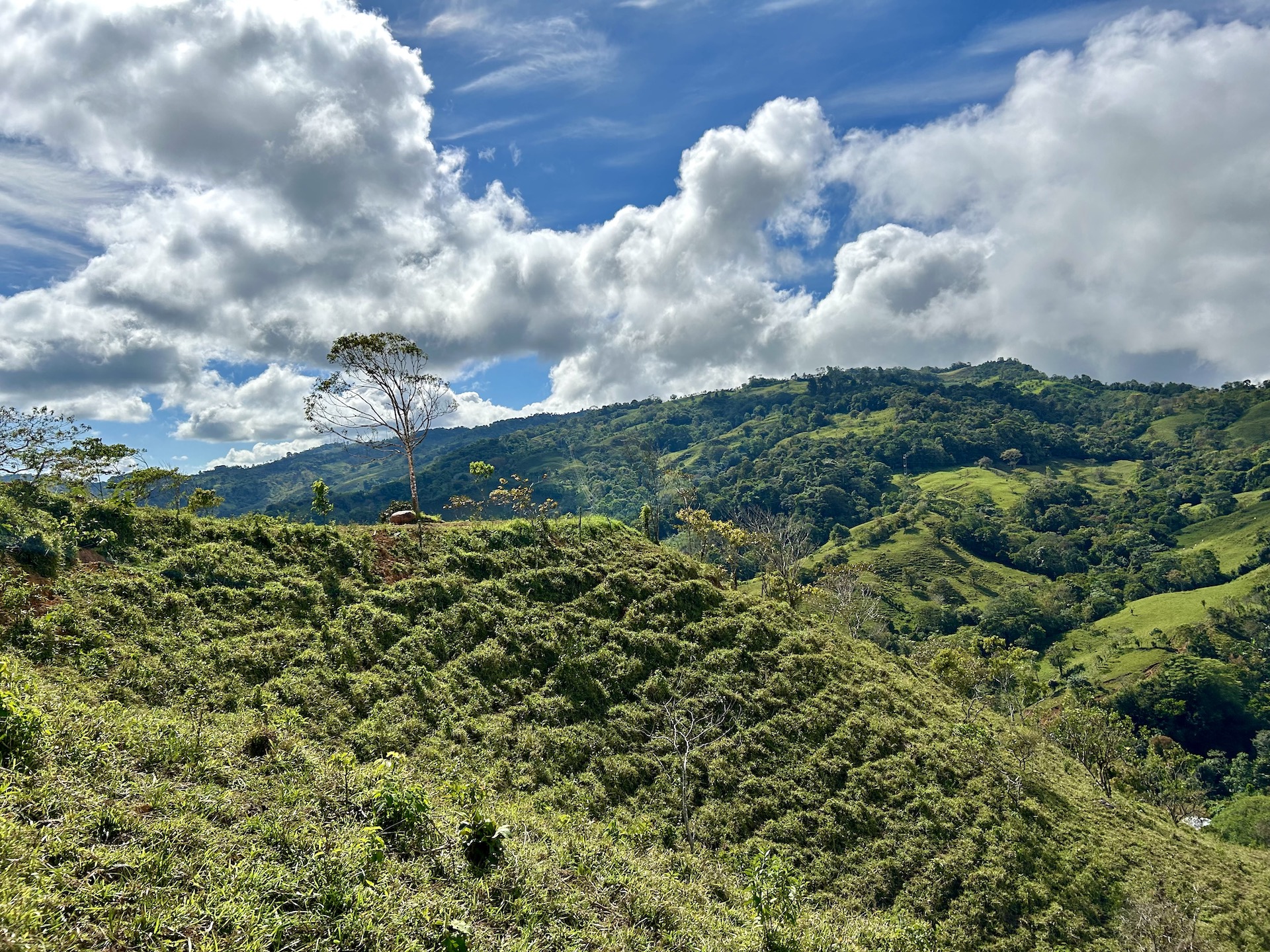 5 bed Land For Sale in Uvita, Puntarenas - thumb 10