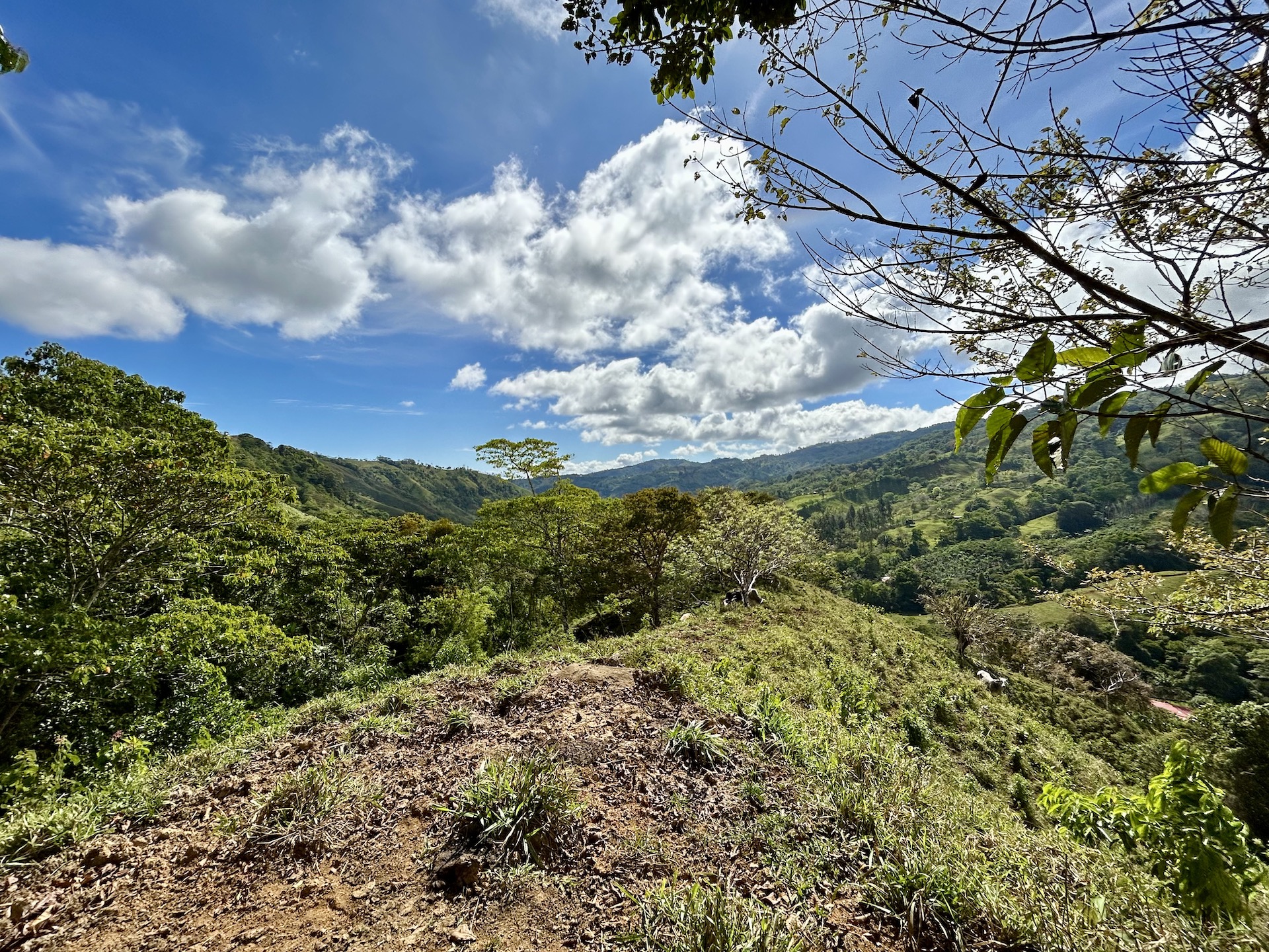 5 bed Land For Sale in Uvita, Puntarenas - thumb 16