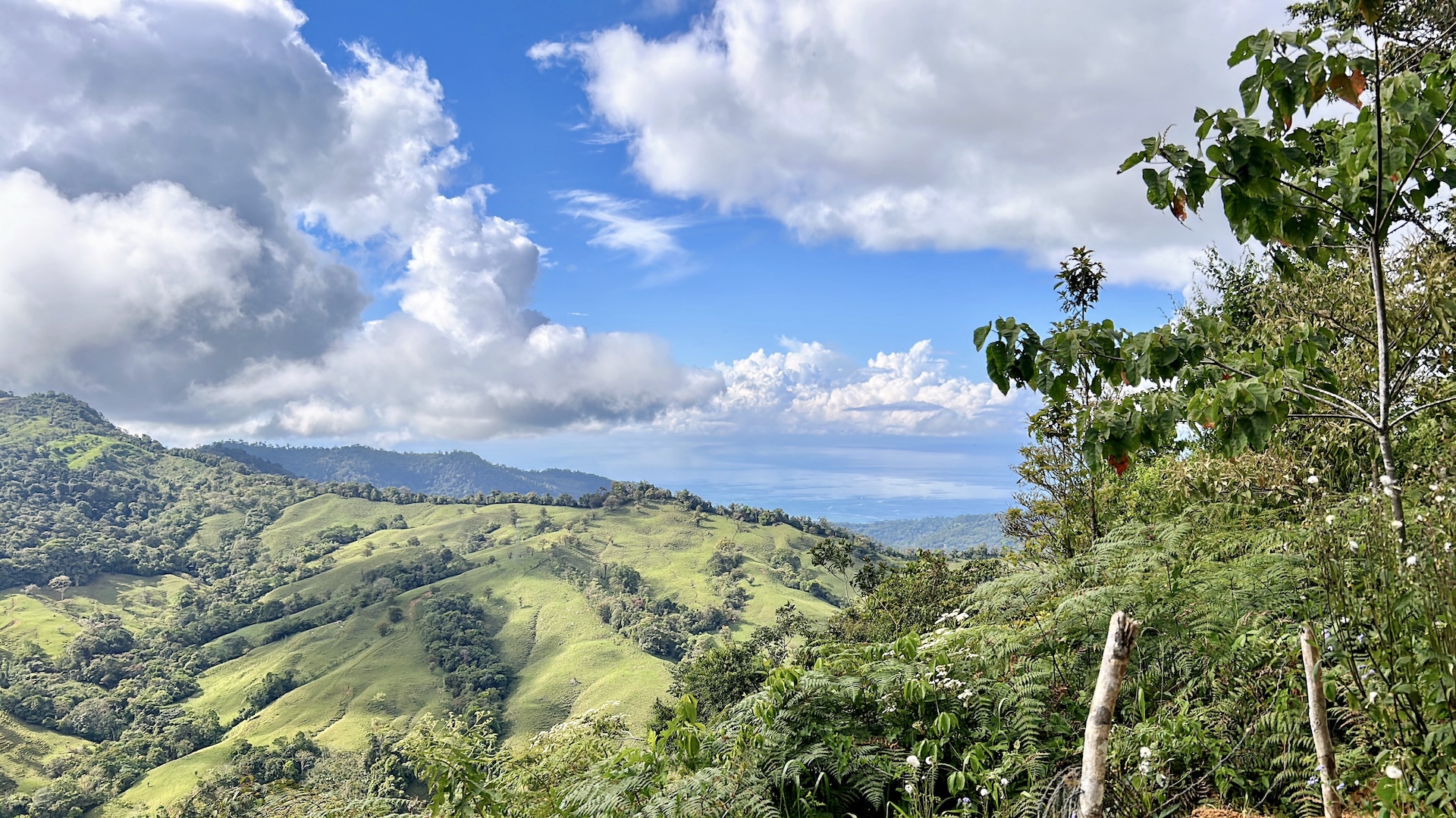 5 bed Land For Sale in Uvita, Puntarenas - thumb 7