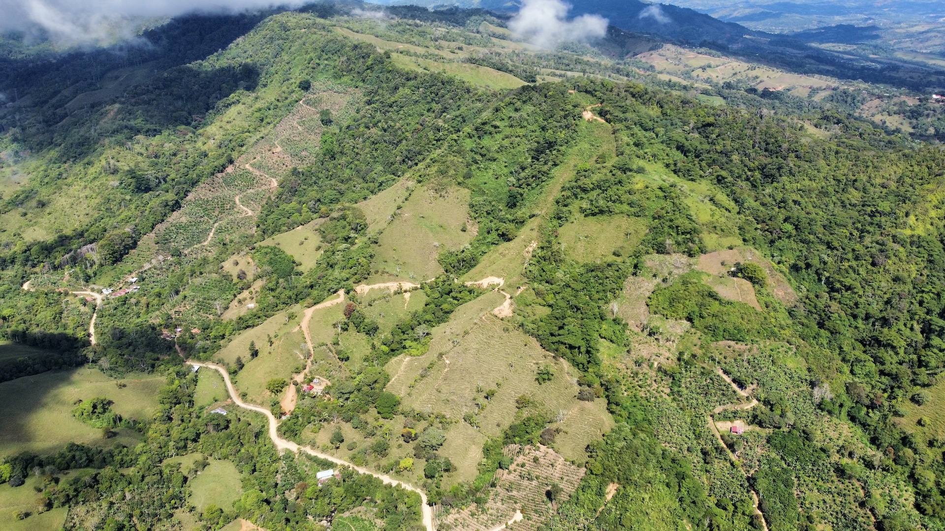 5 bed Land For Sale in Uvita, Puntarenas - thumb 2