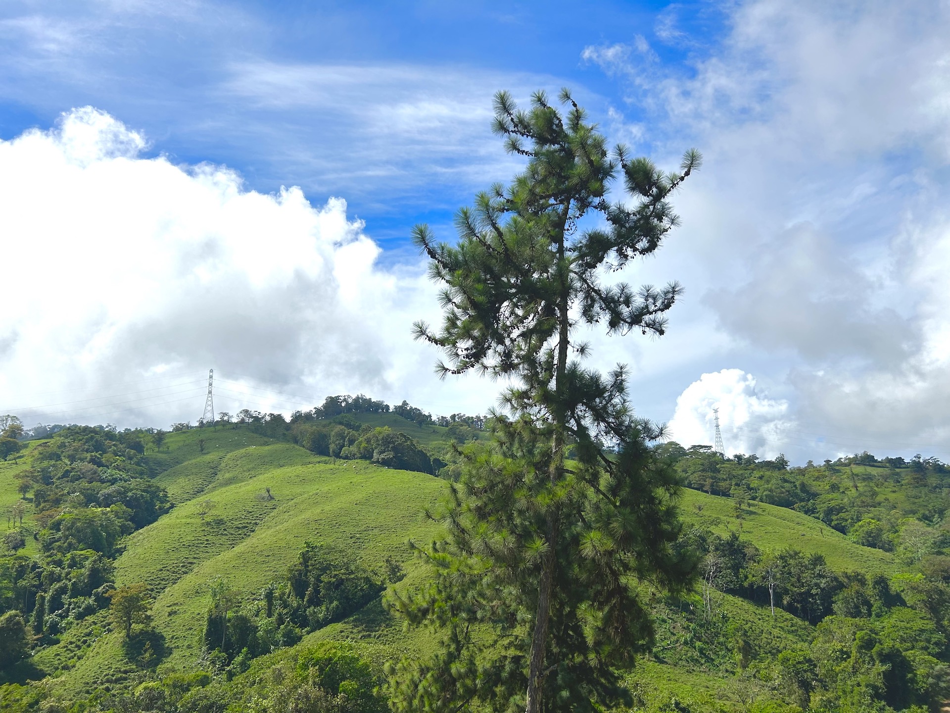 5 bed Land For Sale in Uvita, Puntarenas - thumb 20