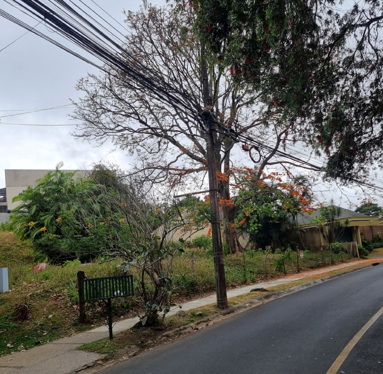 0 bed Land For Sale in Curridabat, San Jose - thumb 2