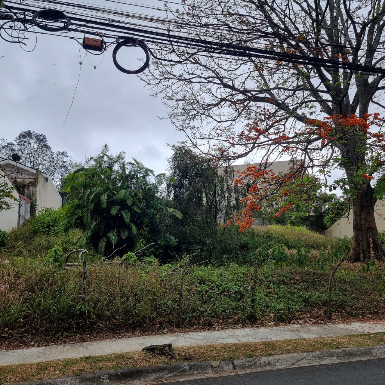 0 bed Land For Sale in Curridabat, San Jose - thumb 3