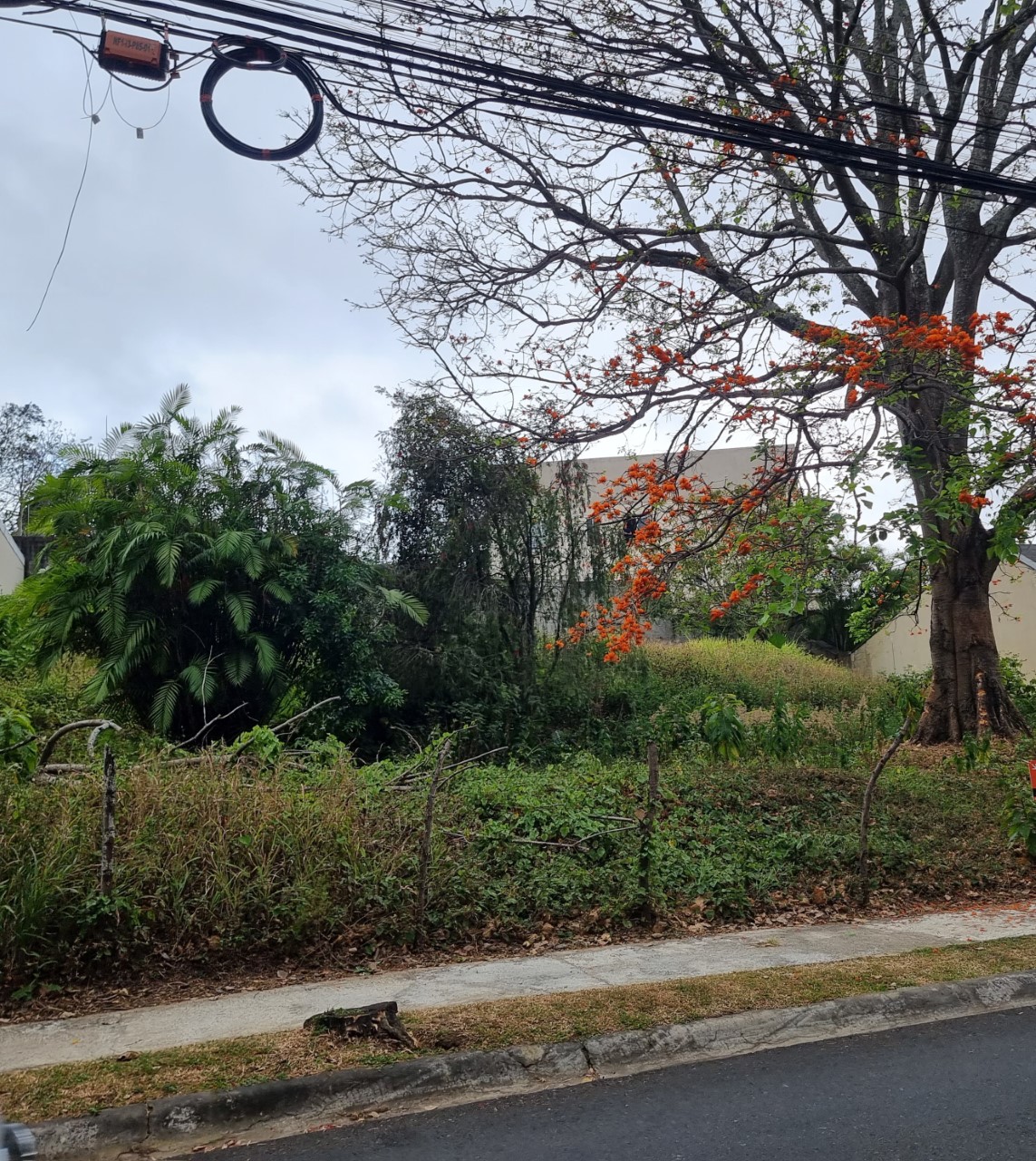 0 bed Land For Sale in Curridabat, San Jose - thumb 4