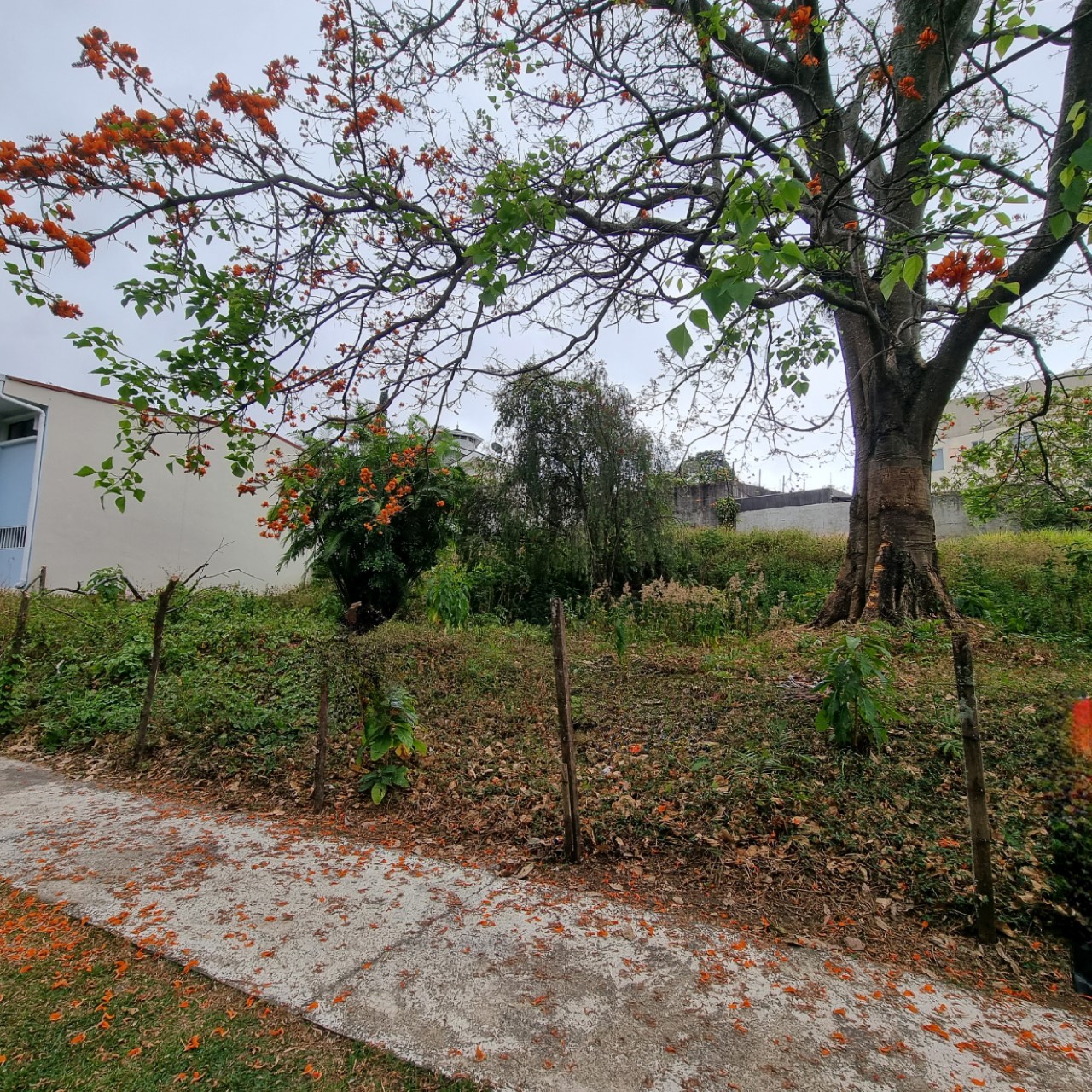 0 bed Land For Sale in Curridabat, San Jose - thumb 1