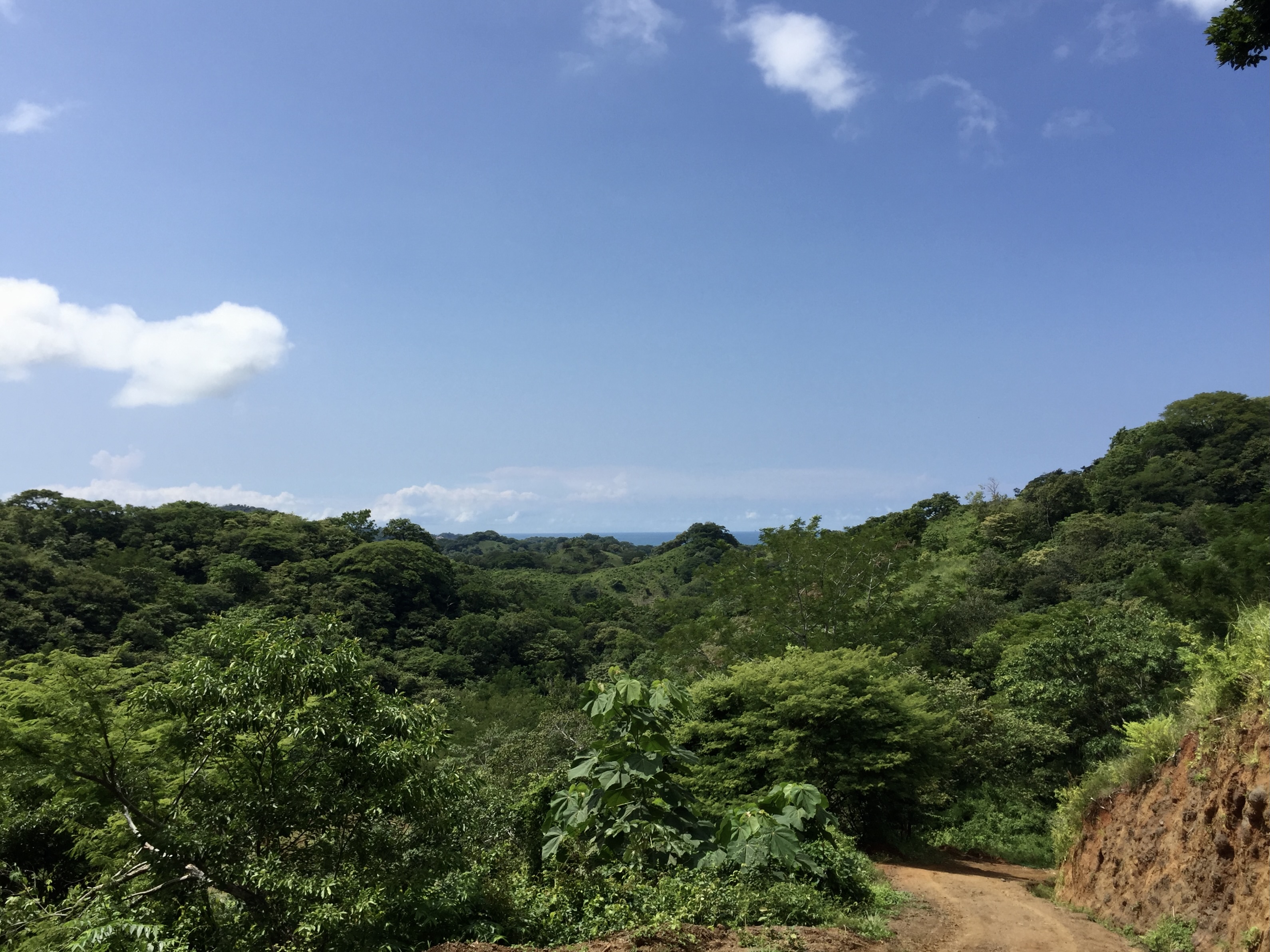 0 bed Land For Sale in Playa Guiones, Guanacaste - thumb 3