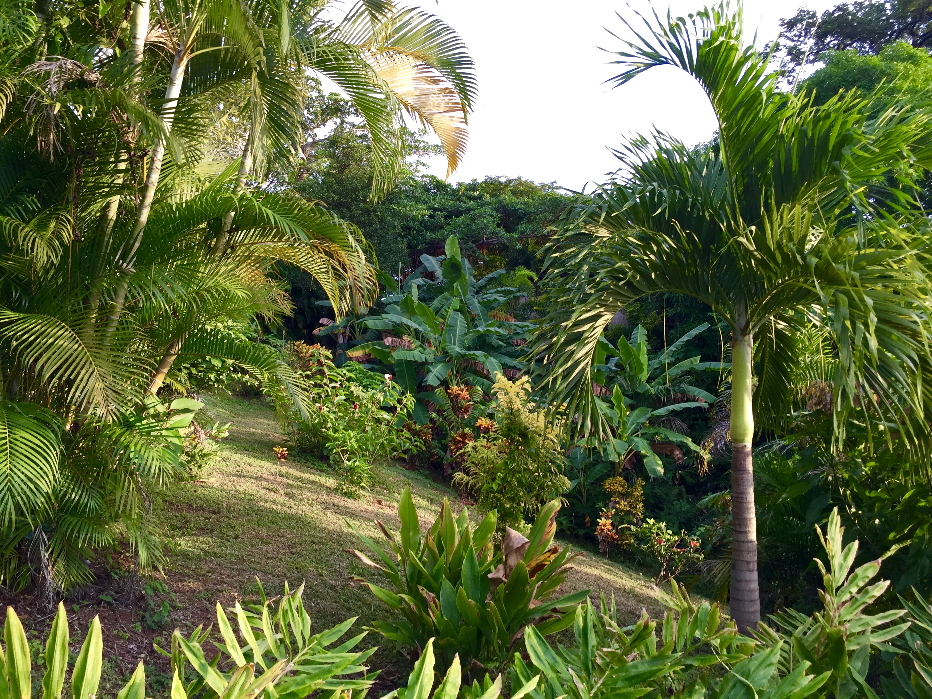 0 bed Land For Sale in Playa Guiones, Guanacaste - thumb 8