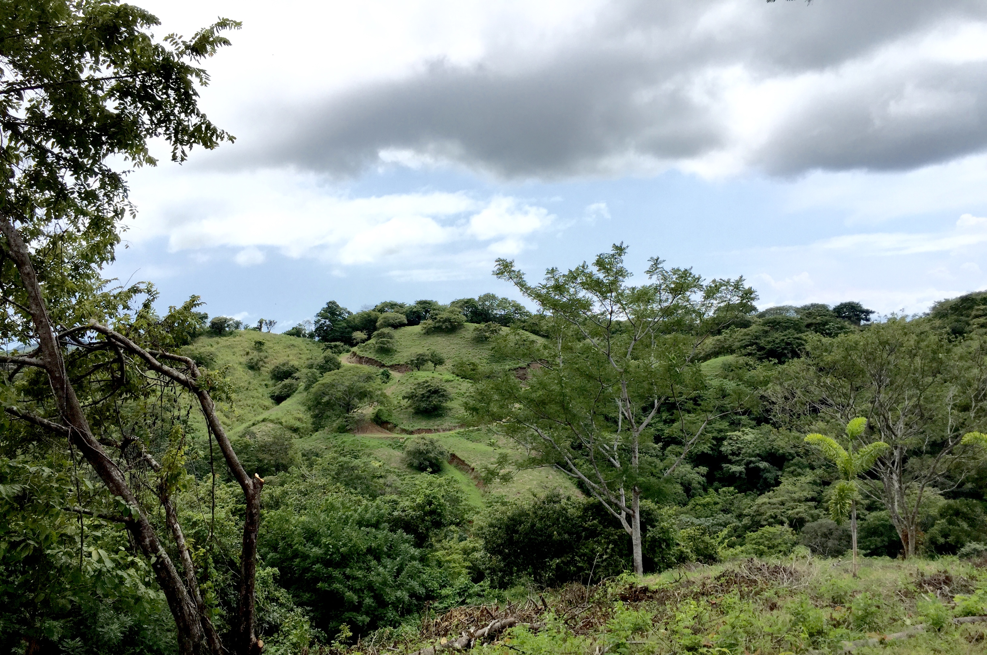 0 bed Land For Sale in Playa Guiones, Guanacaste - thumb 1
