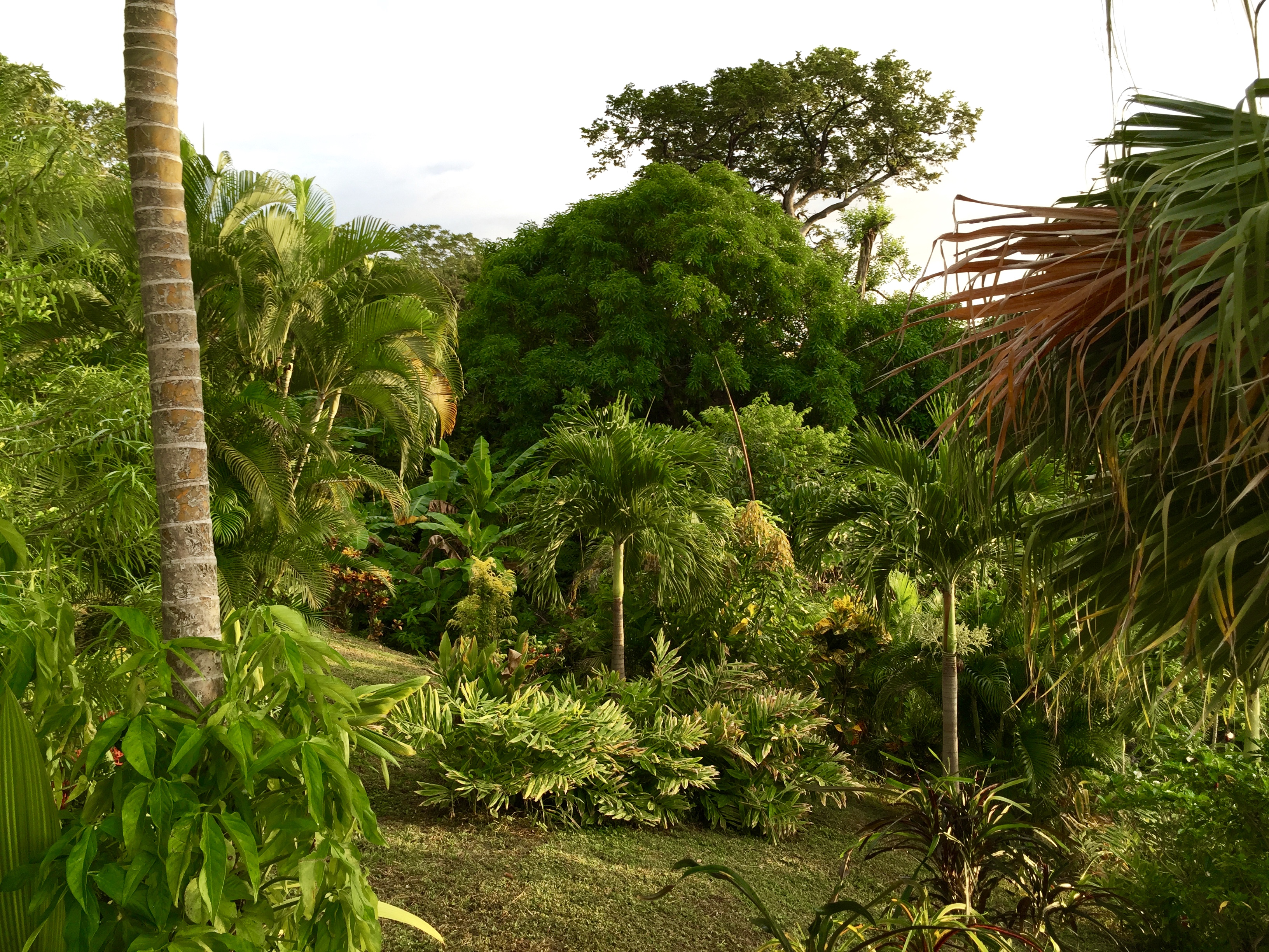 0 bed Land For Sale in Playa Guiones, Guanacaste - thumb 4