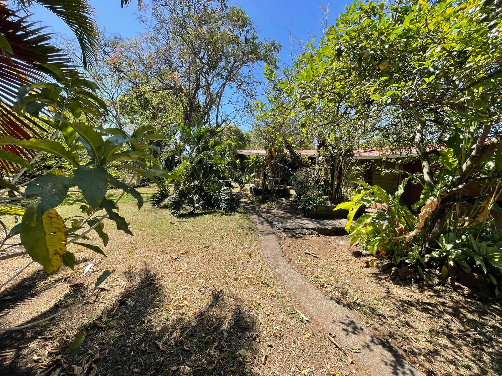 4 bed Single Family Homes For Sale in La Garita, Alajuela - thumb 23