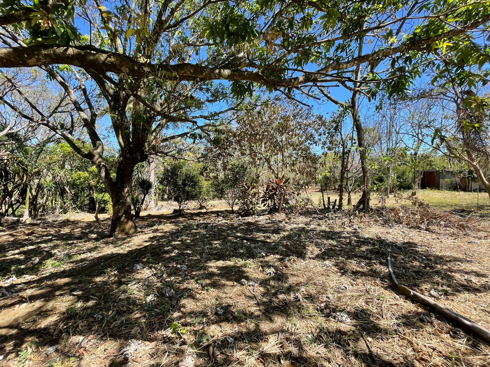 4 bed Single Family Homes For Sale in La Garita, Alajuela - thumb 4