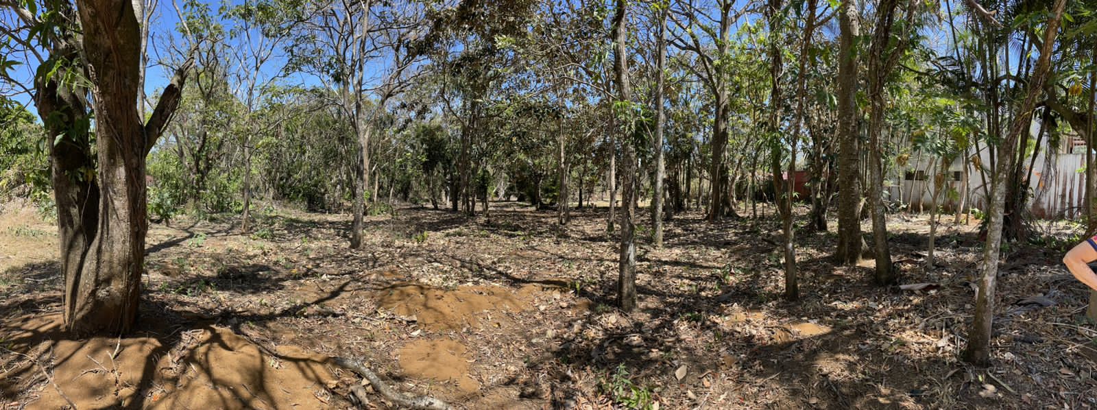 4 bed Single Family Homes For Sale in La Garita, Alajuela - thumb 25