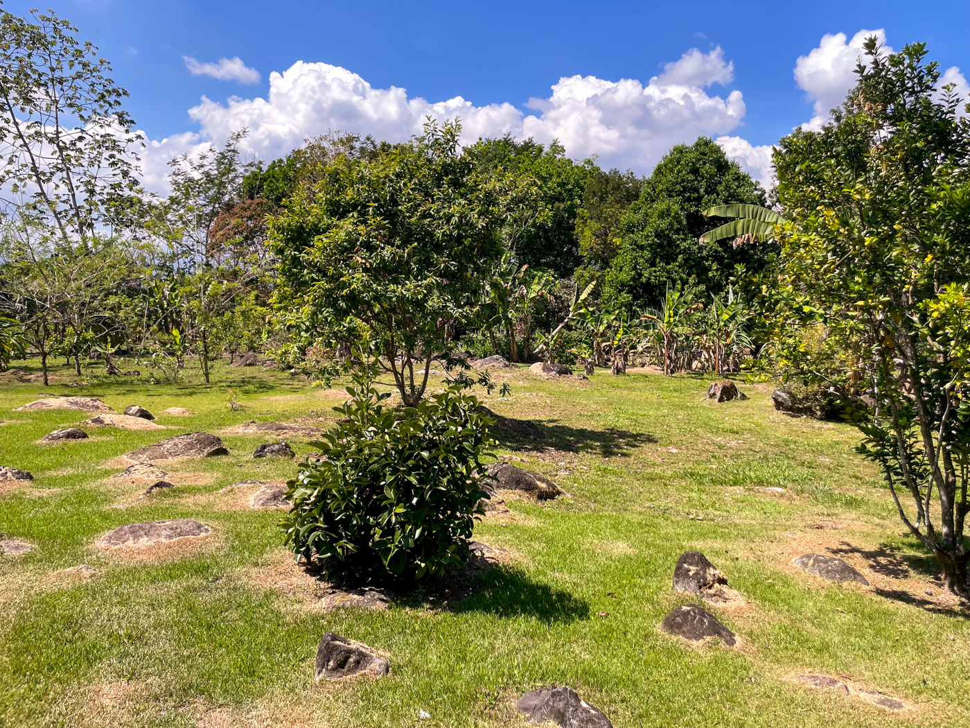 4 bed Single Family Homes For Sale in Perez Zeledon, San Jose - thumb 30