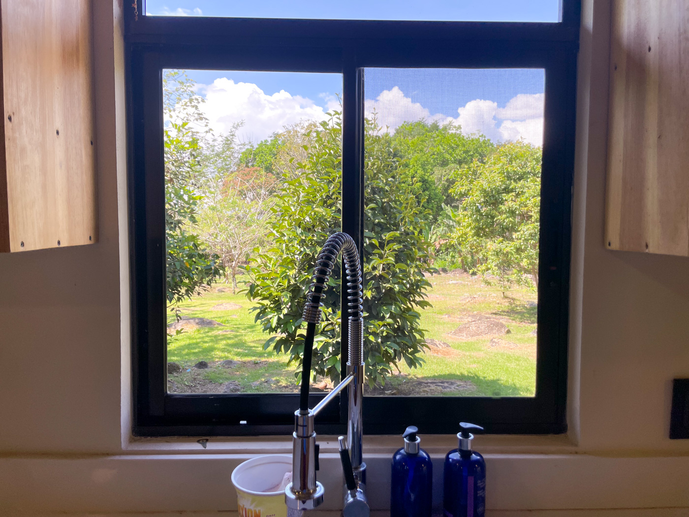 4 bed Single Family Homes For Sale in Perez Zeledon, San Jose - thumb 6