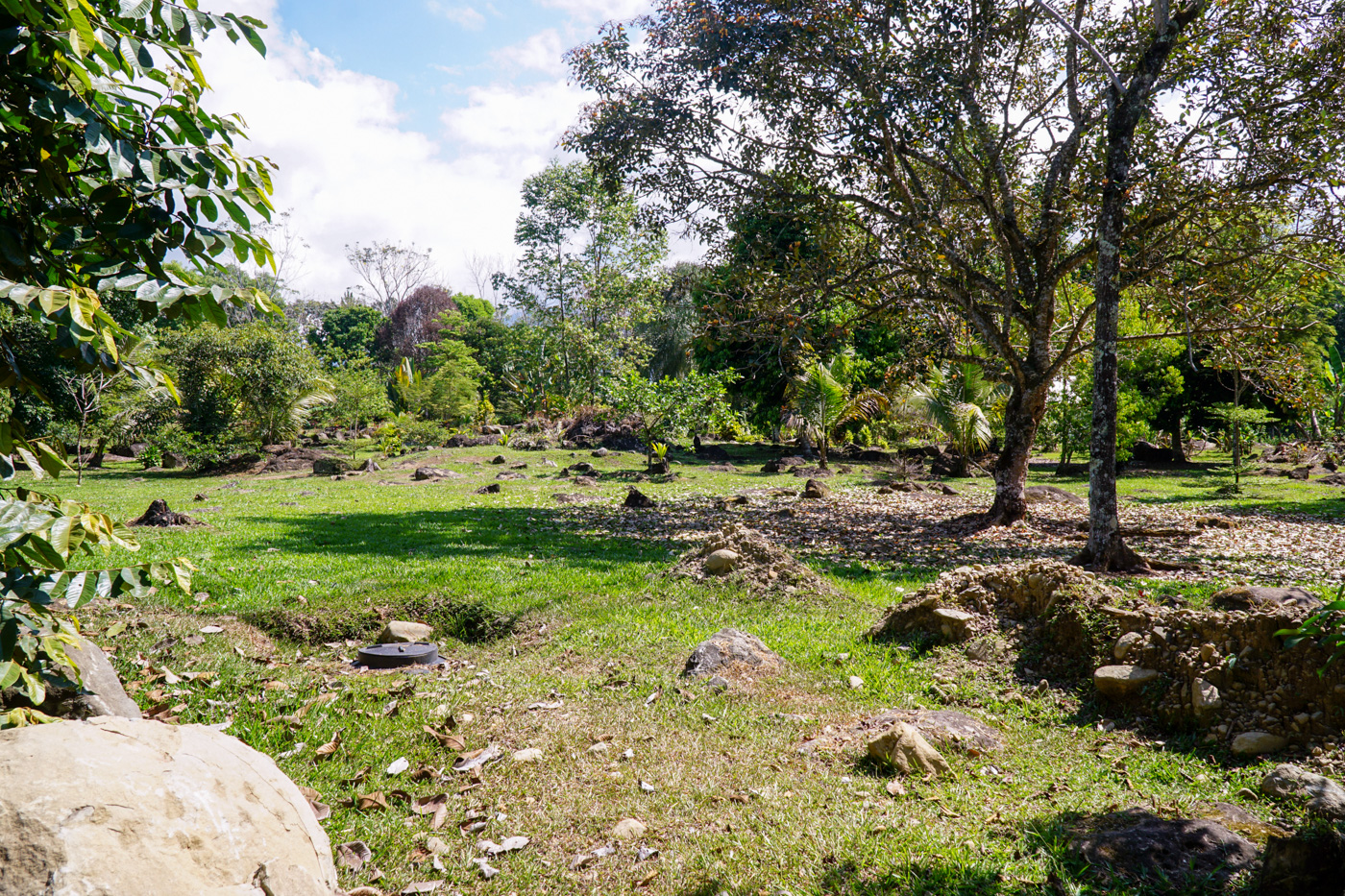 4 bed Single Family Homes For Sale in Perez Zeledon, San Jose - thumb 27