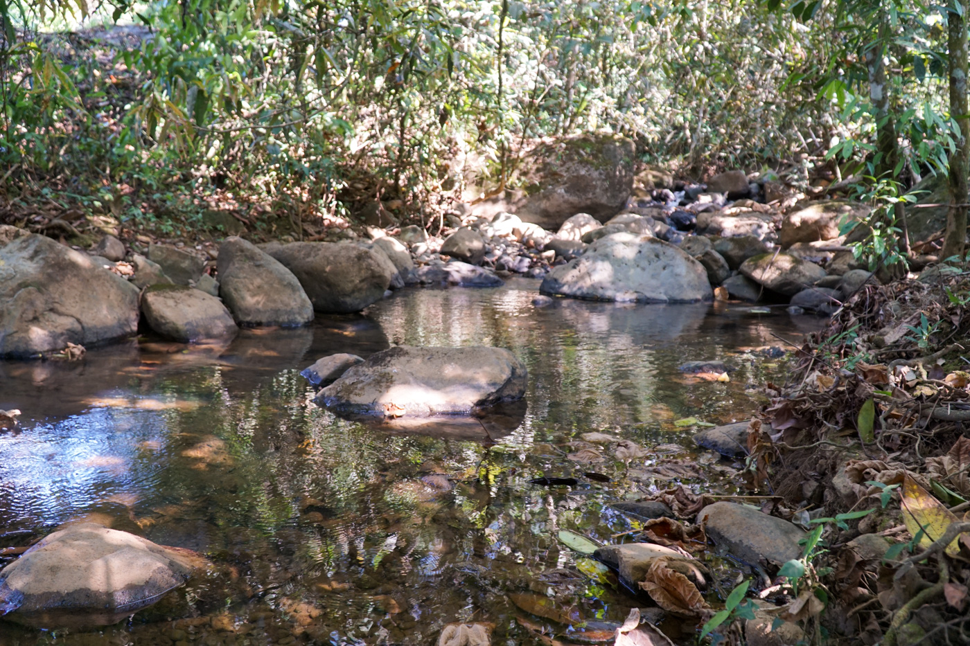 4 bed Single Family Homes For Sale in Perez Zeledon, San Jose - thumb 28