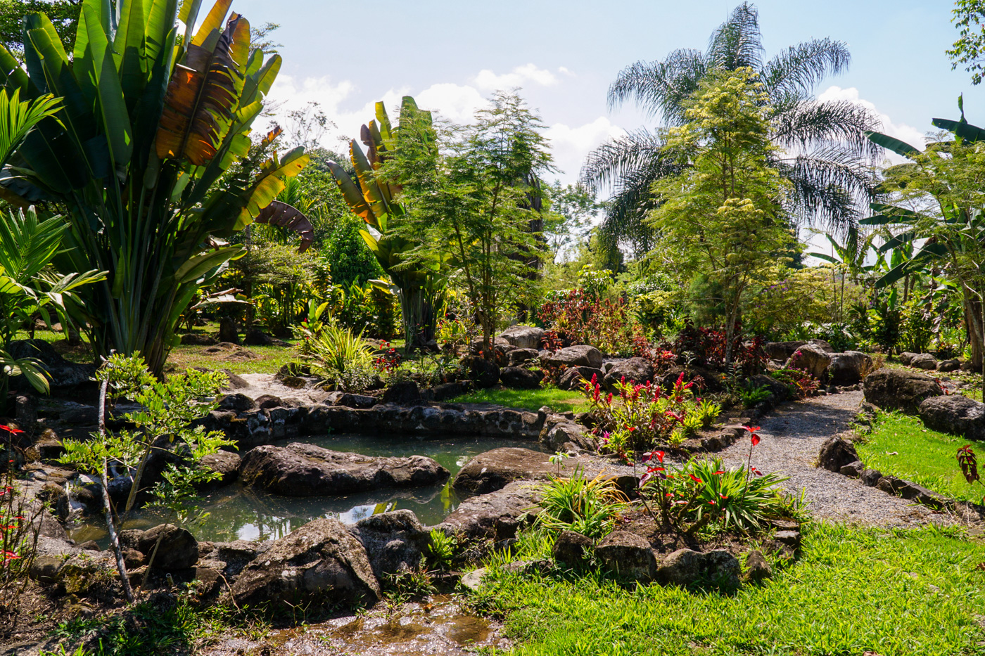 4 bed Single Family Homes For Sale in Perez Zeledon, San Jose - thumb 29