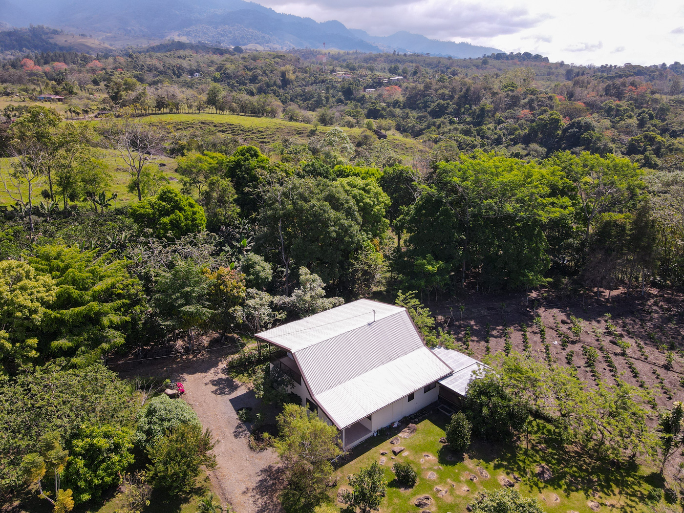 4 bed Single Family Homes For Sale in Perez Zeledon, San Jose - thumb 2