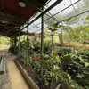  - High Elevation Property in Rivas with Breathtaking Views and Two Houses
