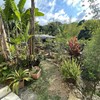  - High Elevation Property in Rivas with Breathtaking Views and Two Houses