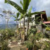  - High Elevation Property in Rivas with Breathtaking Views and Two Houses