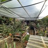  - High Elevation Property in Rivas with Breathtaking Views and Two Houses