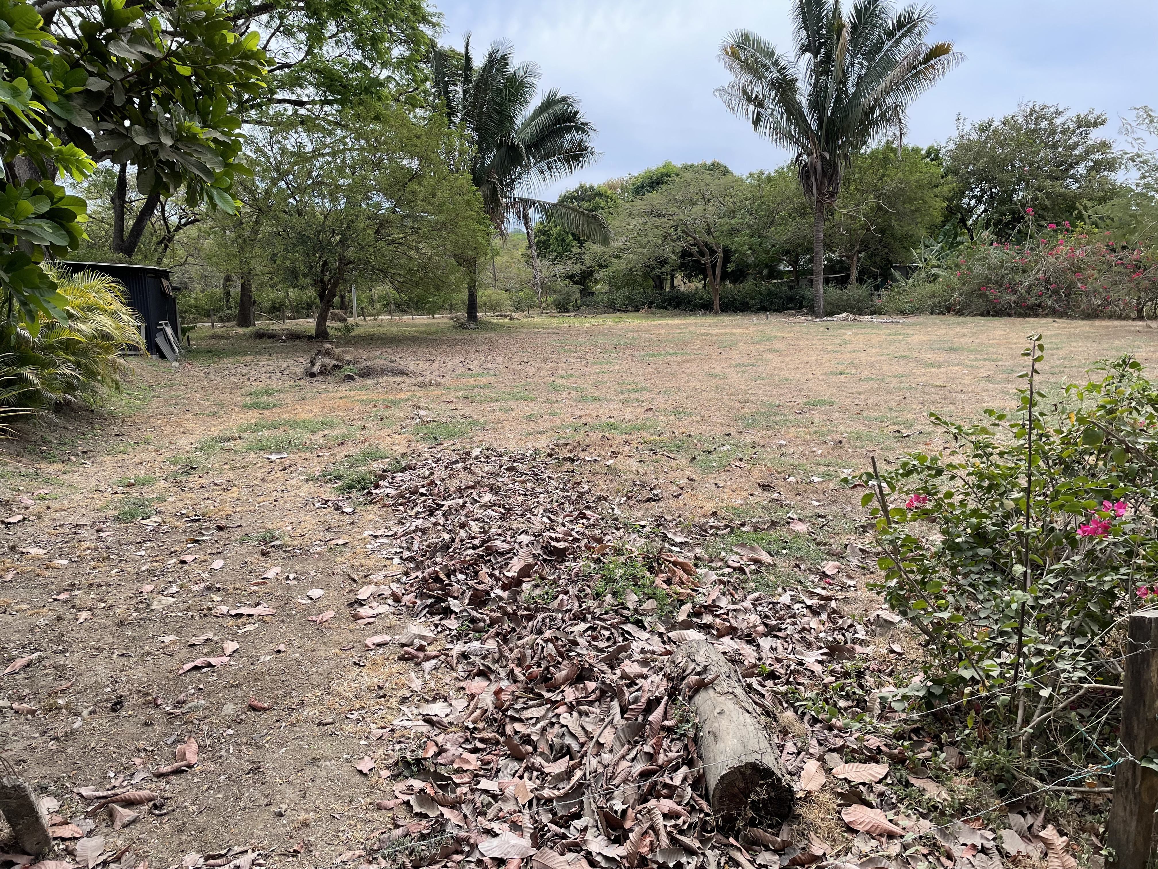 0 bed Land For Sale in Nosara, Guanacaste - thumb 4