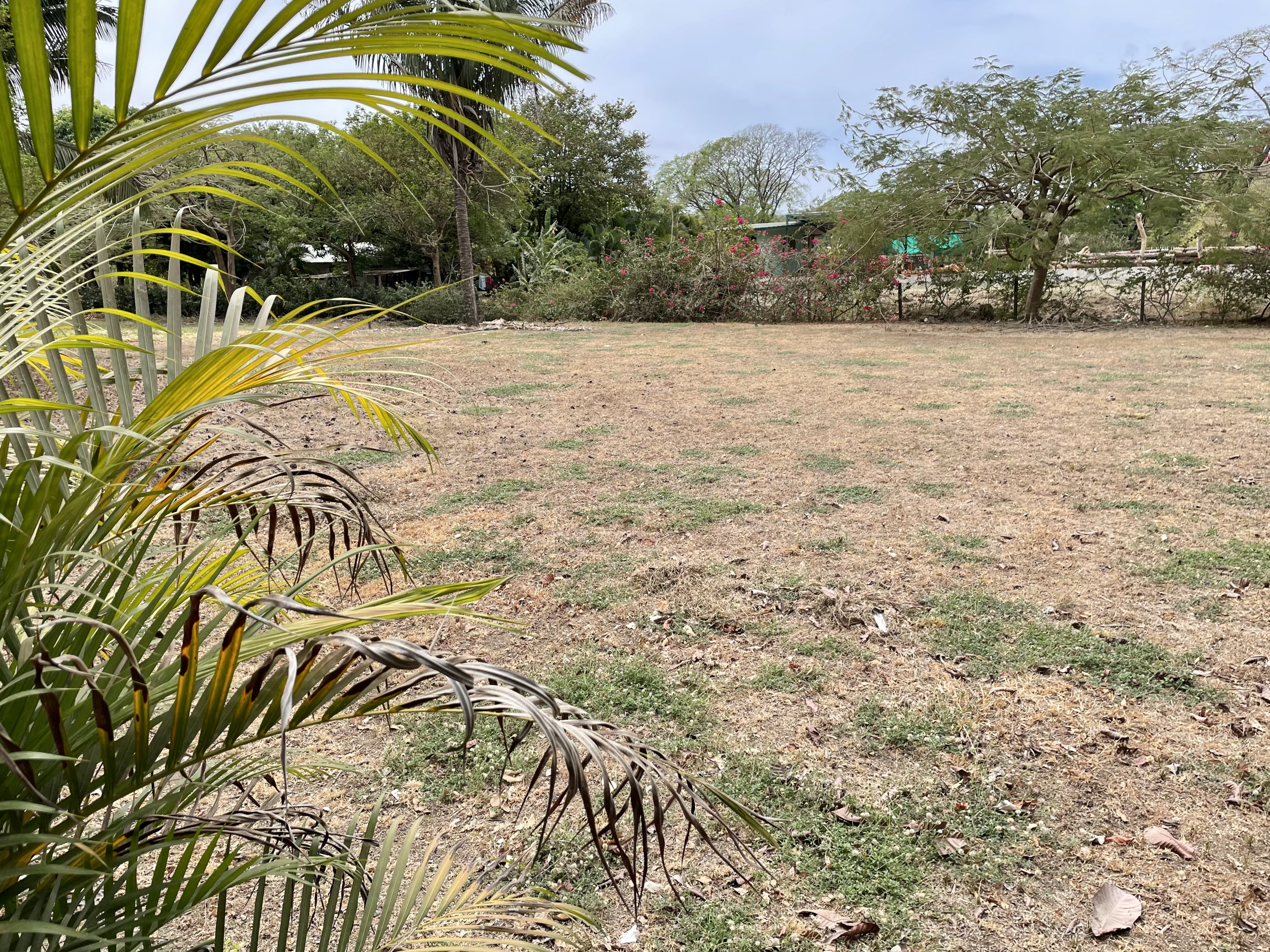 0 bed Land For Sale in Nosara, Guanacaste - thumb 3