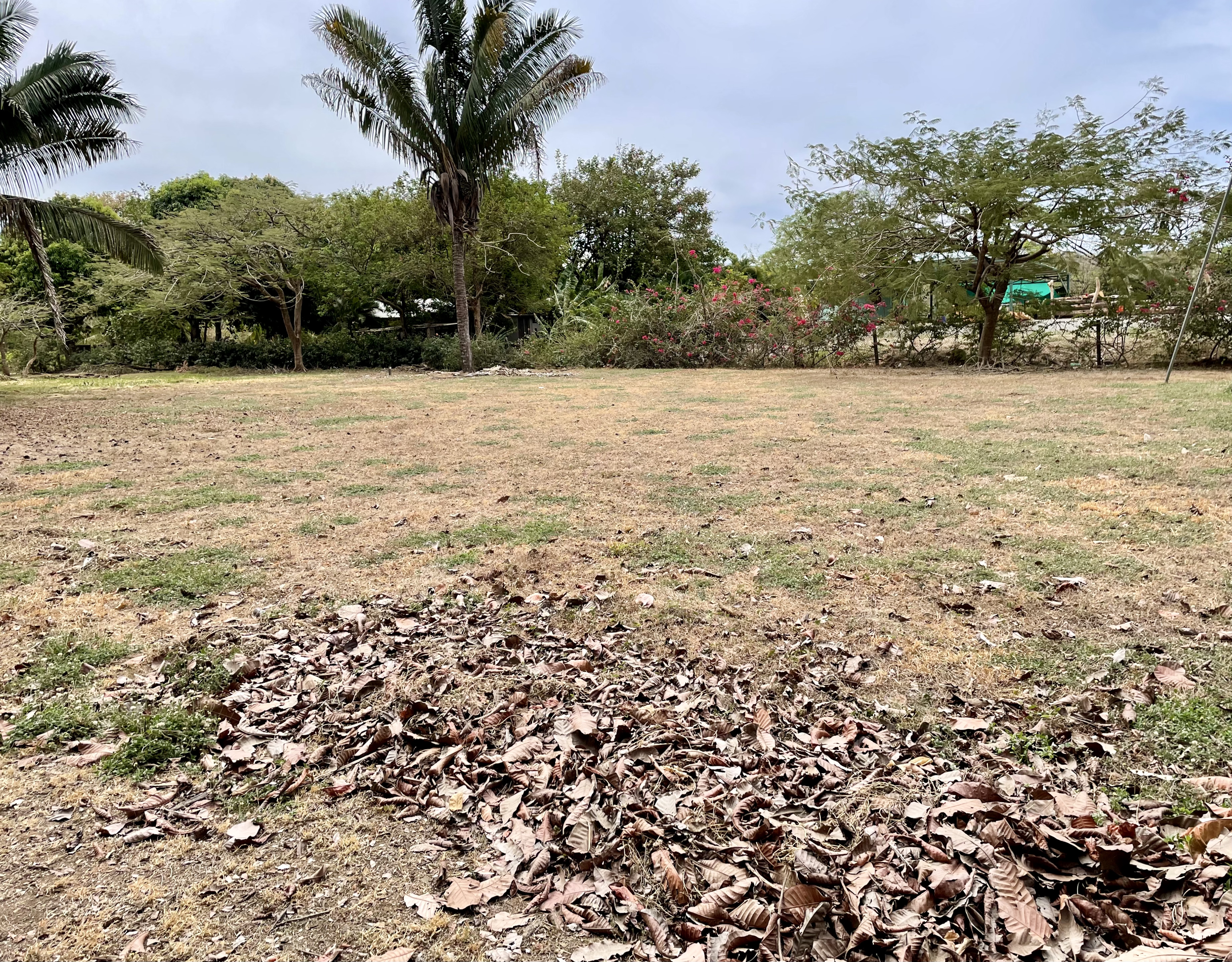 0 bed Land For Sale in Nosara, Guanacaste - thumb 8