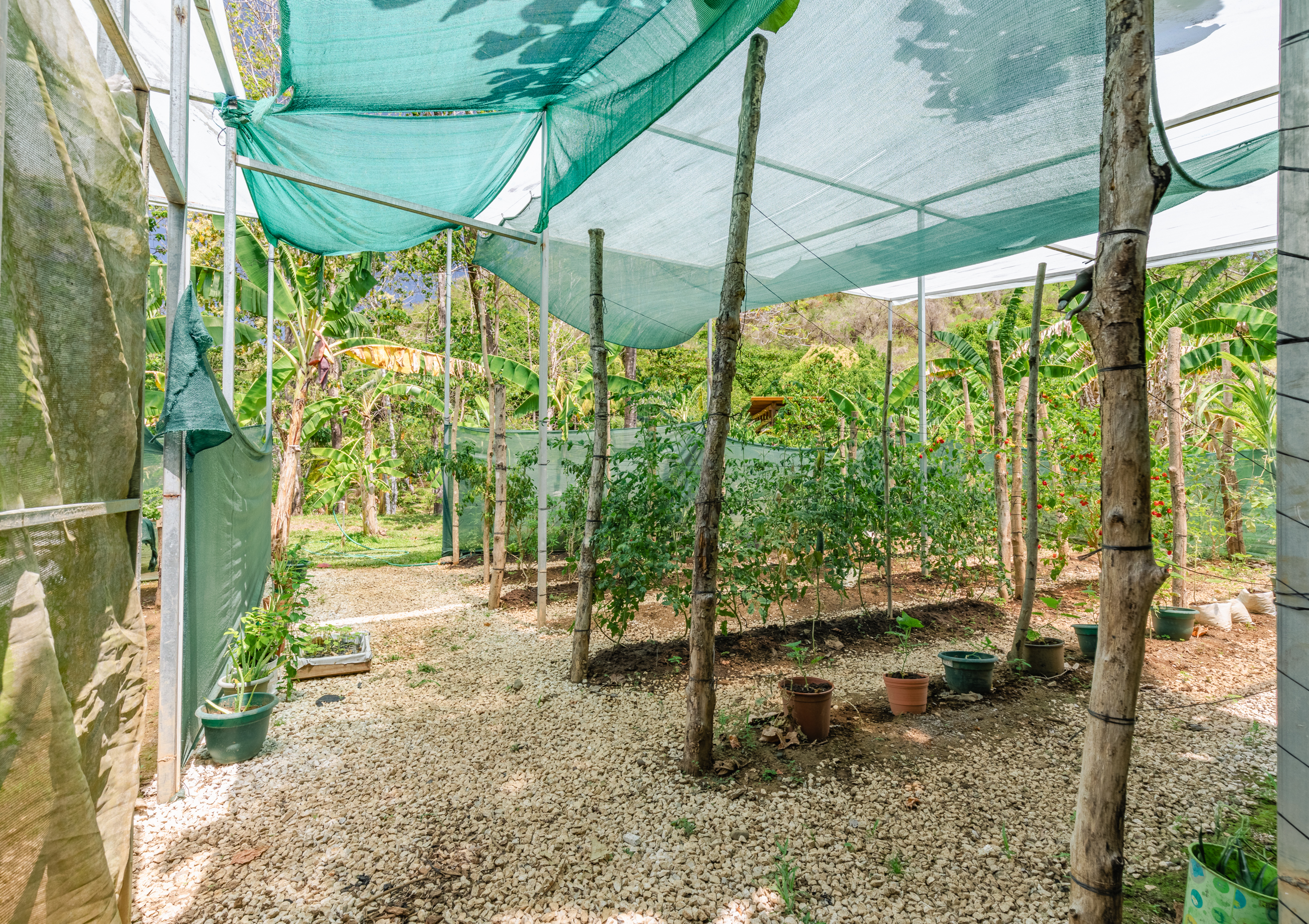 11 bed Land For Sale in Nosara, Guanacaste - thumb 17