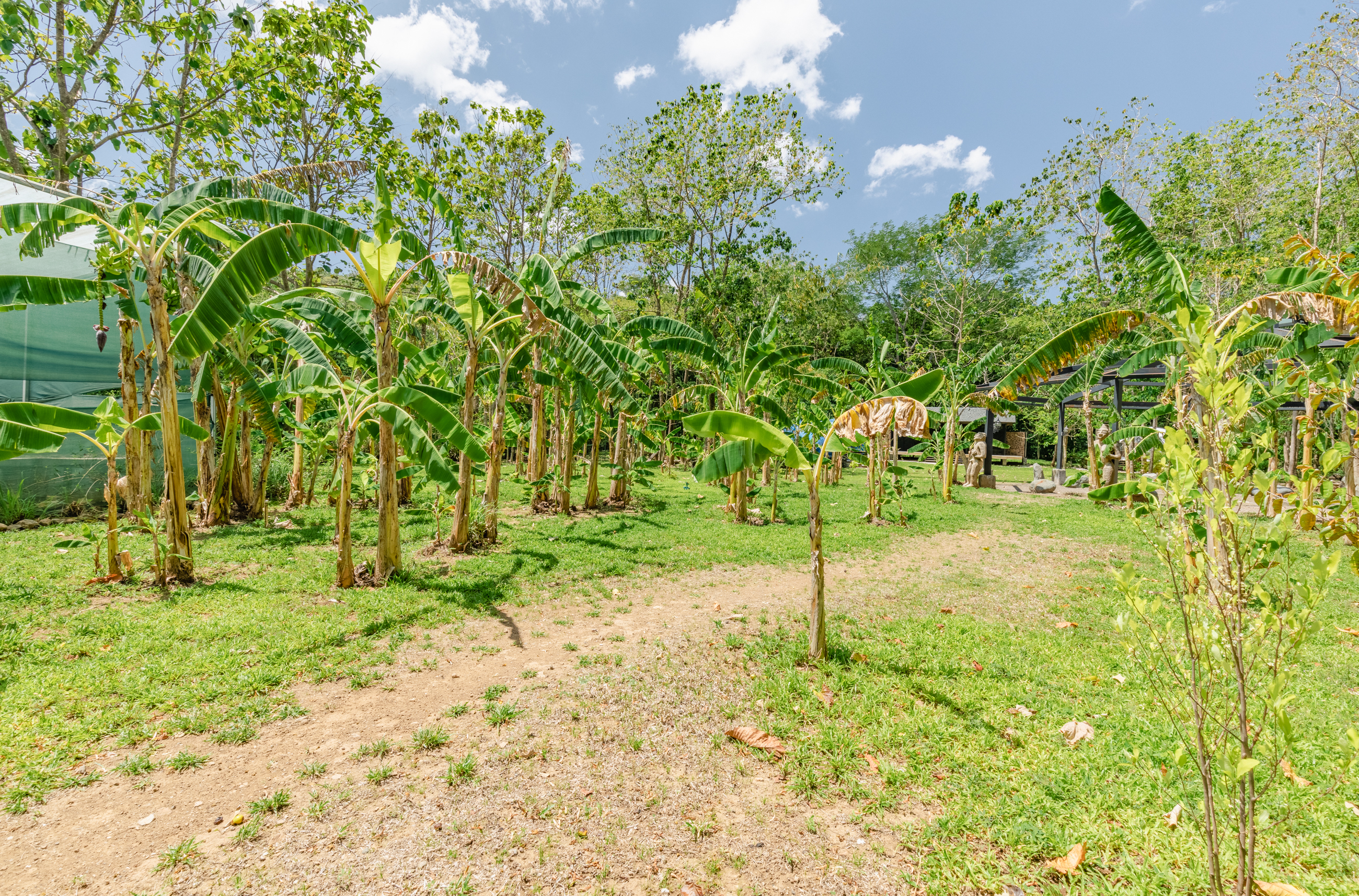11 bed Land For Sale in Nosara, Guanacaste - thumb 18