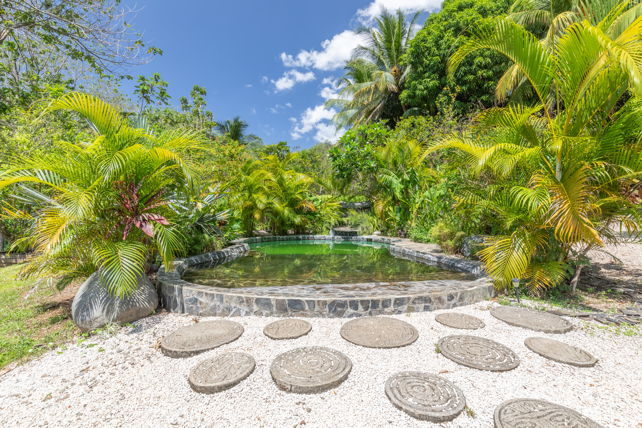 11 bed Land For Sale in Nosara, Guanacaste - thumb 1