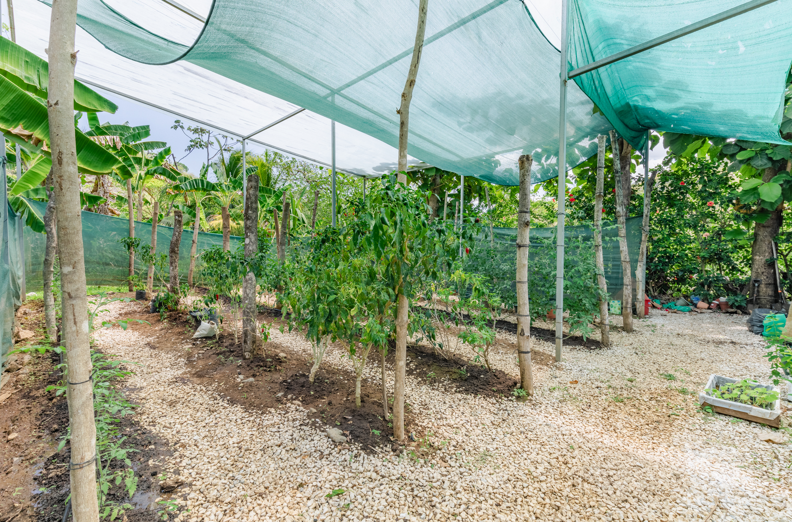 11 bed Land For Sale in Nosara, Guanacaste - thumb 15