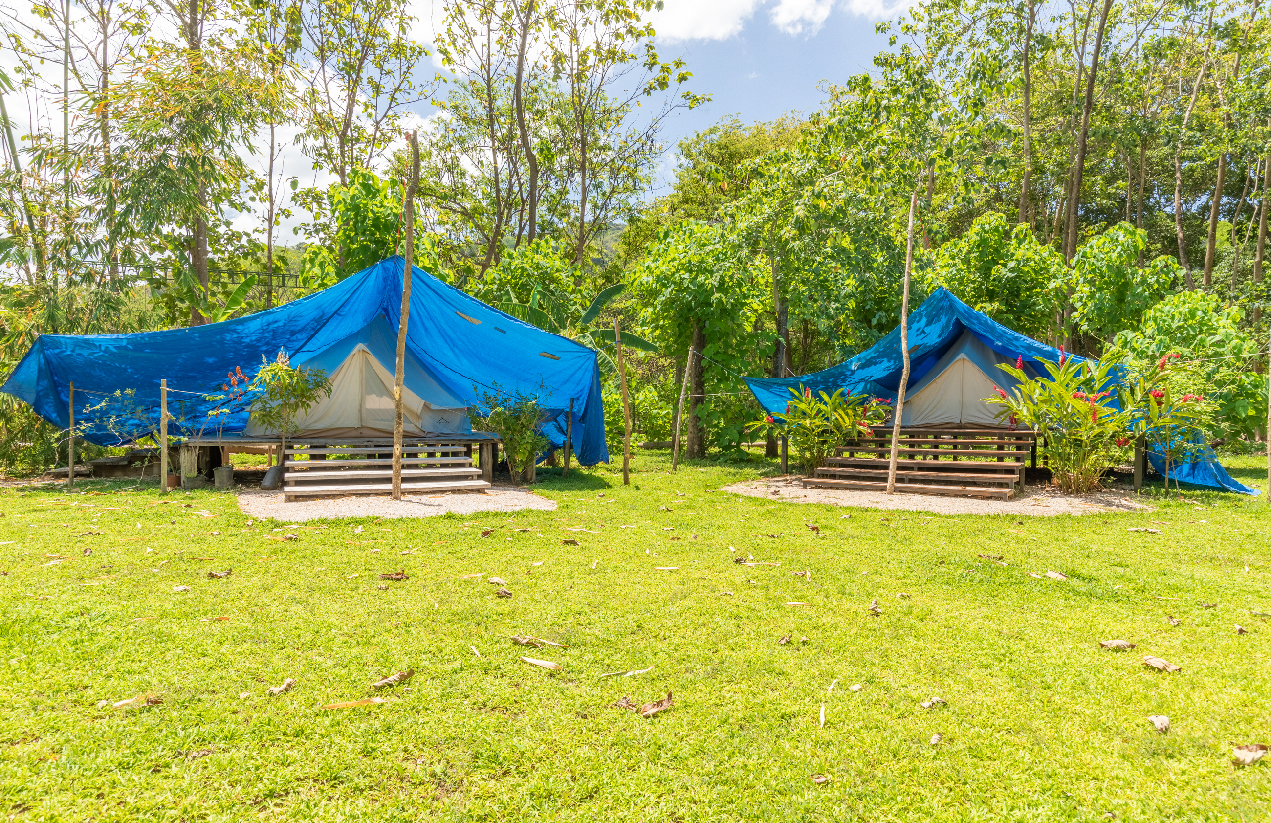 11 bed Land For Sale in Nosara, Guanacaste - thumb 22